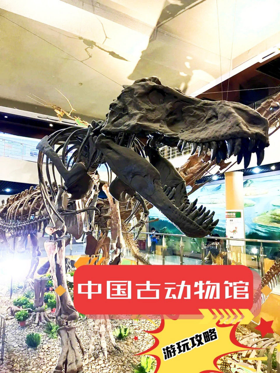 【北京·中国古动物馆】游玩攻略 中国古动物馆是目前亚洲最大的古