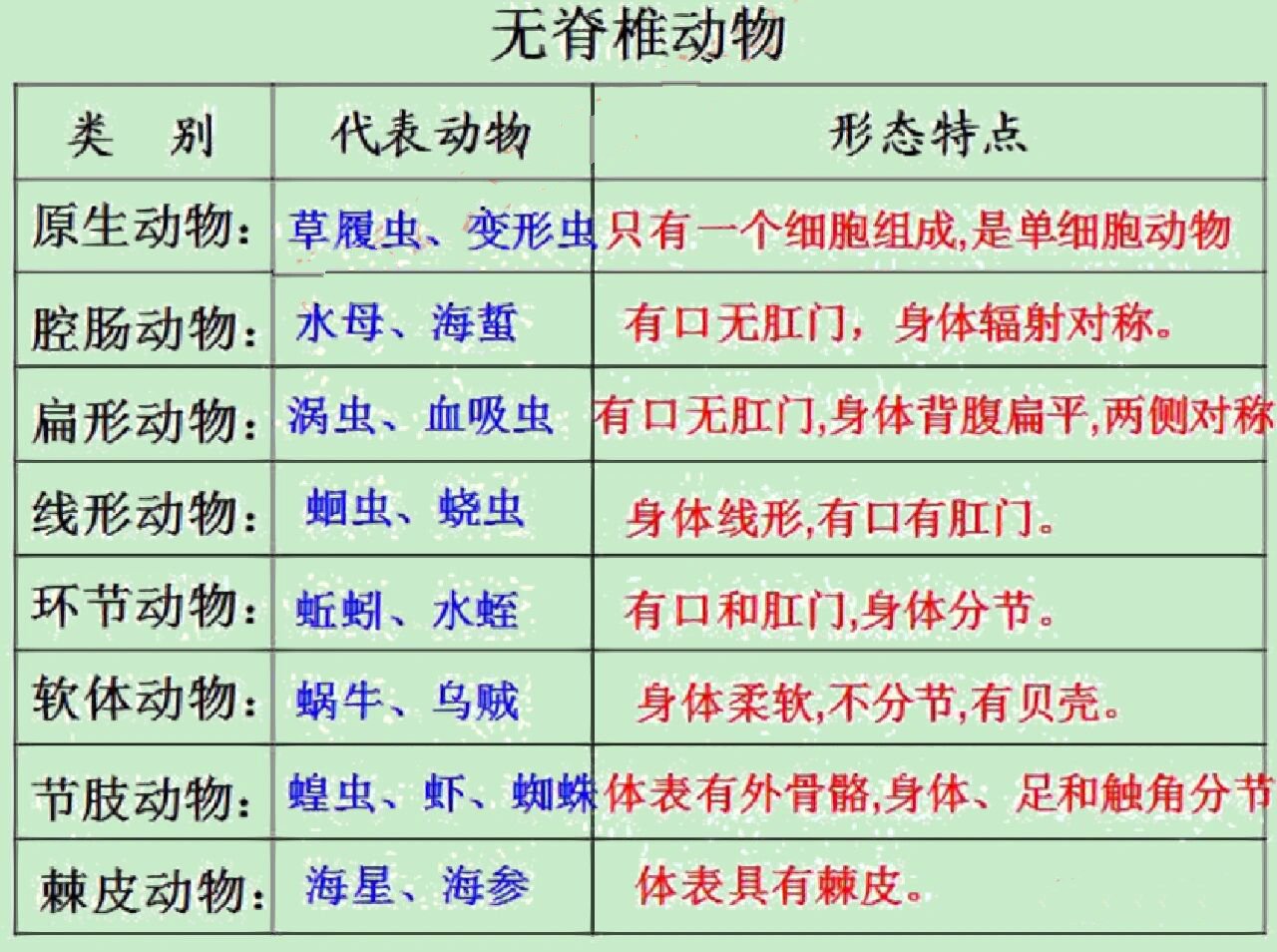 常见的脊椎动物和无脊椎动物归类