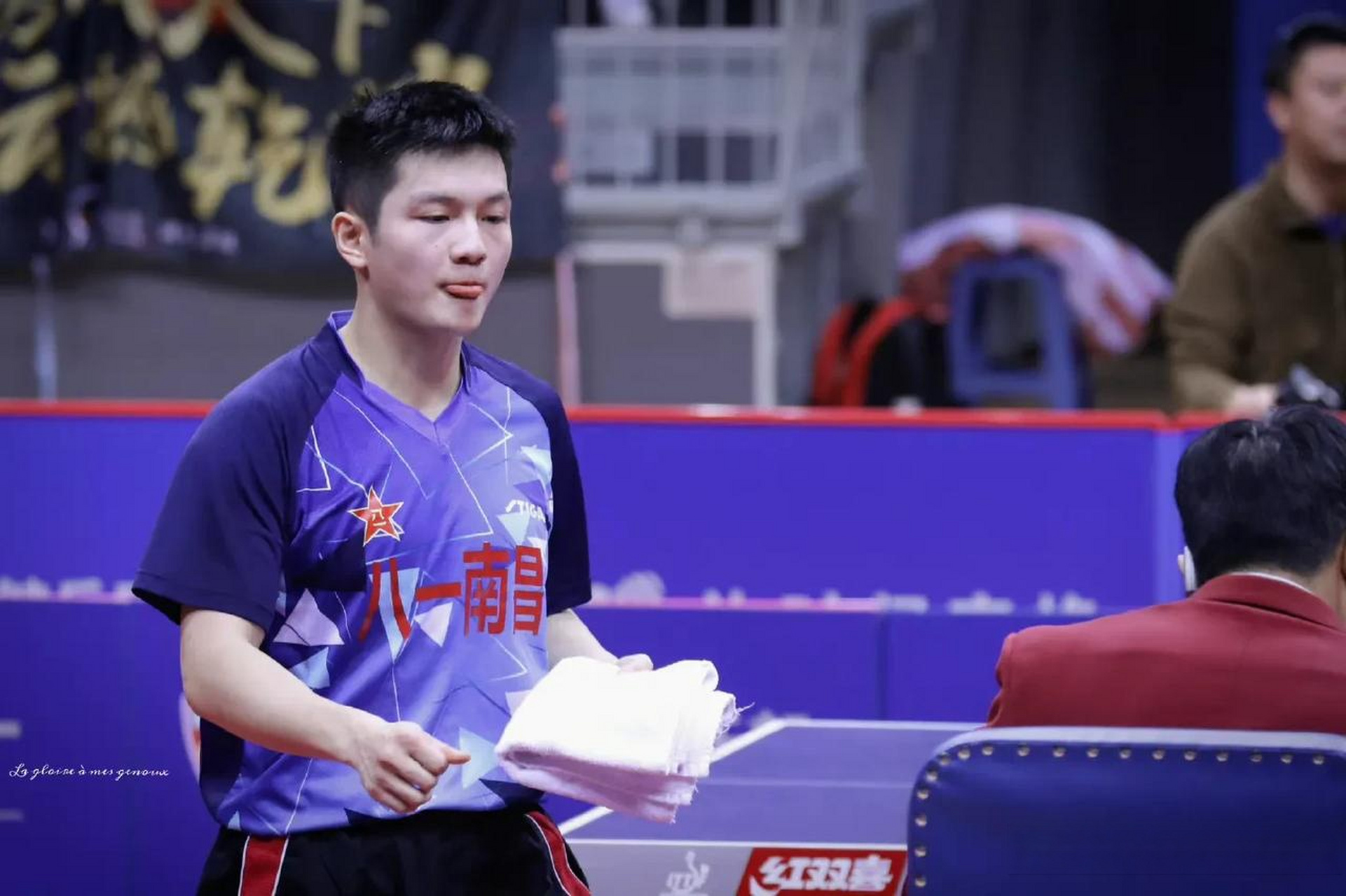 樊振东八一南昌樊振东