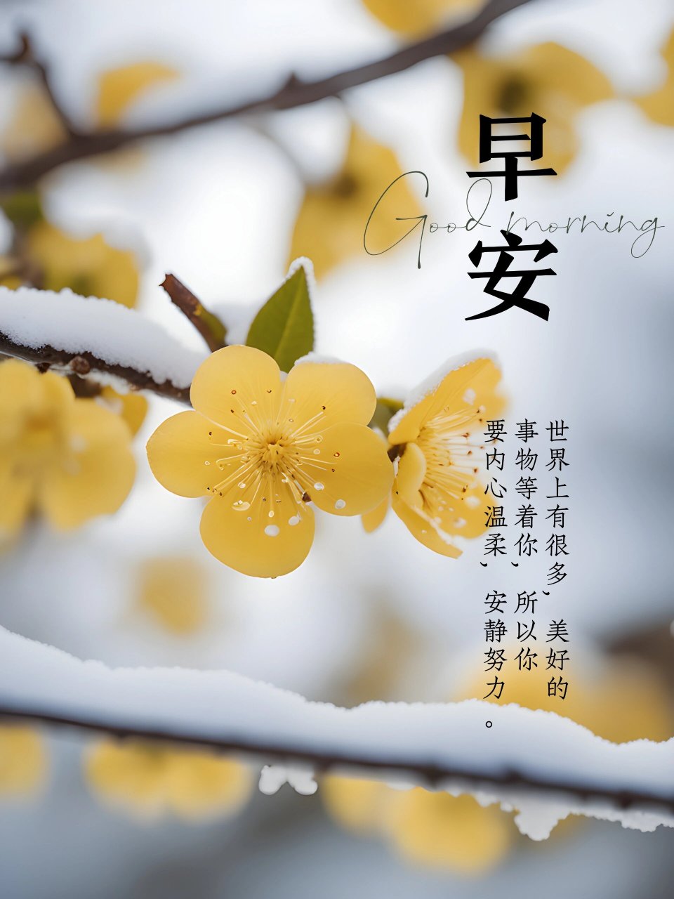 适合冬日里随时发的文案早安心语正能量 "适合冬日里随时发的文案"