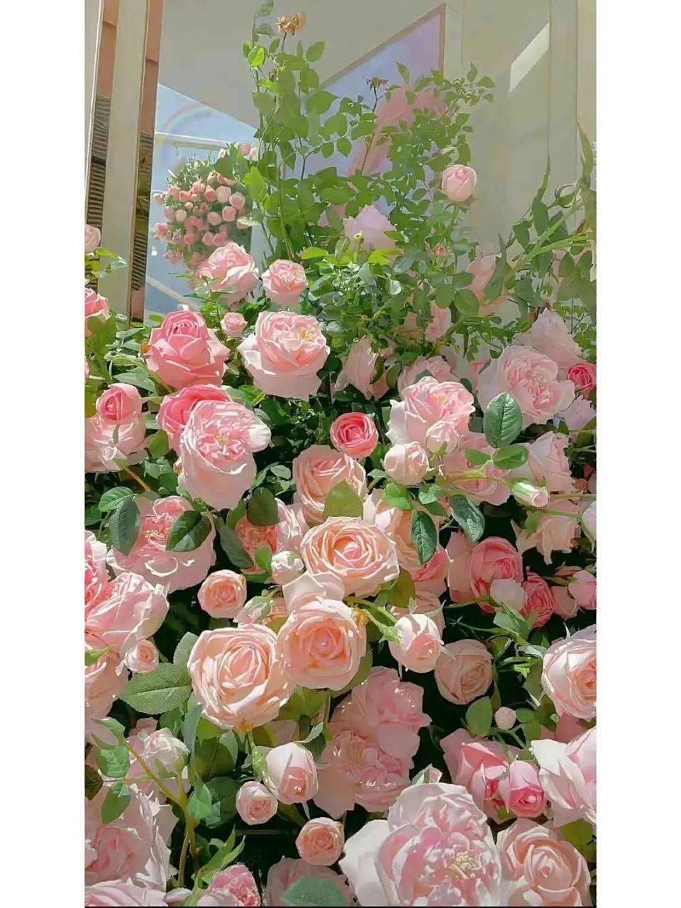 手机壁纸墙纸锁屏   分享几张好看花花手机壁纸 吼吼看