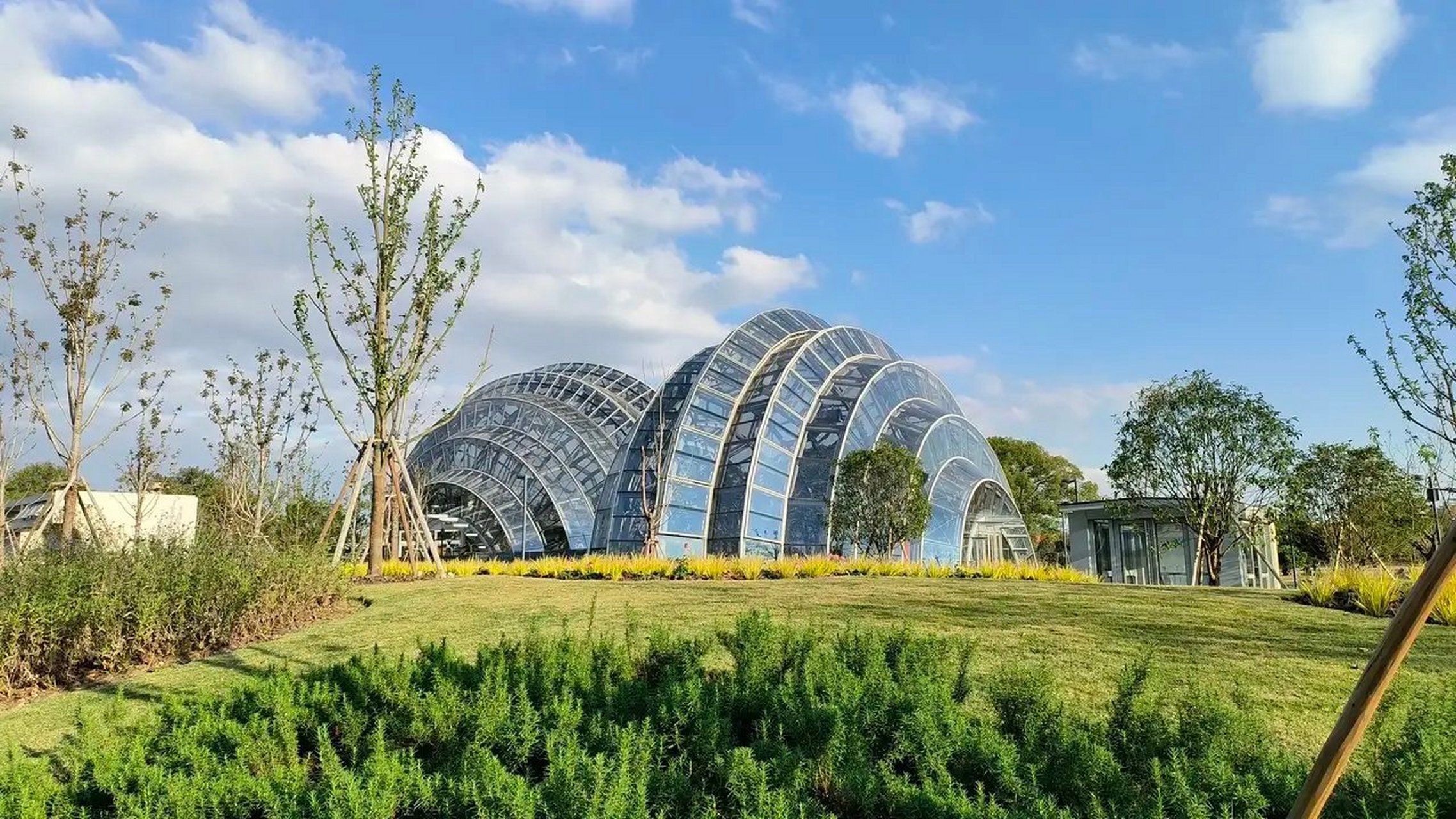 上海植物园新扩建的北园,免费开放啦,[飞机][飞机][飞机]