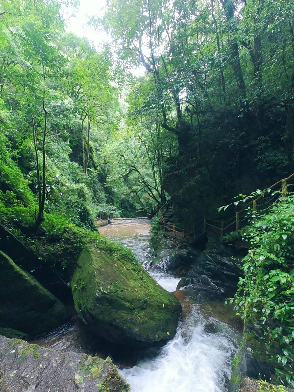 石门峡|哀牢山的绿宝石 "碧潭映翠岩,落照穿幽谷"这句诗用来形容石门