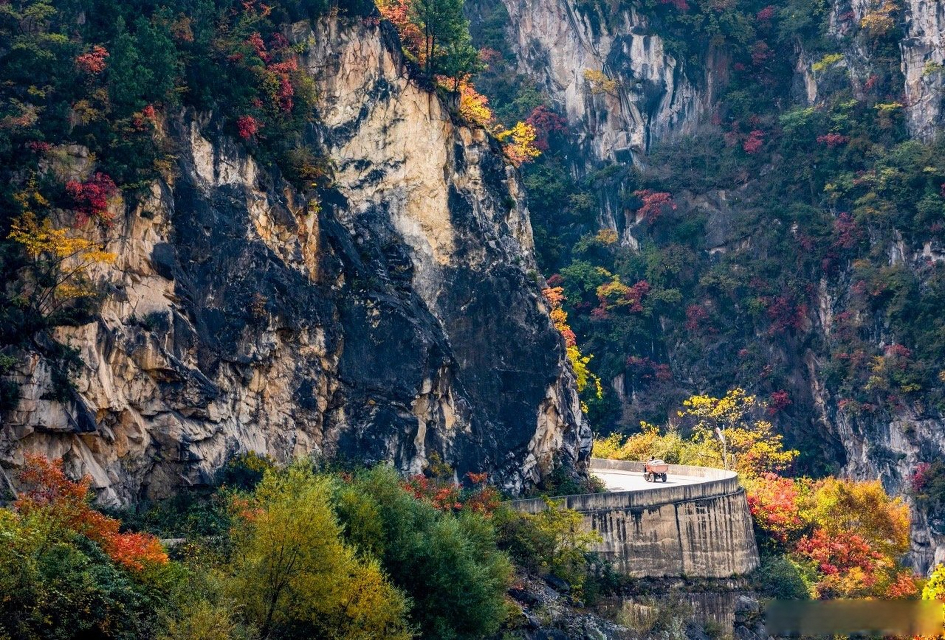 陇南发布分享# 成县的秋天,气温虽降却总是美到令人怦然心动清风欣创