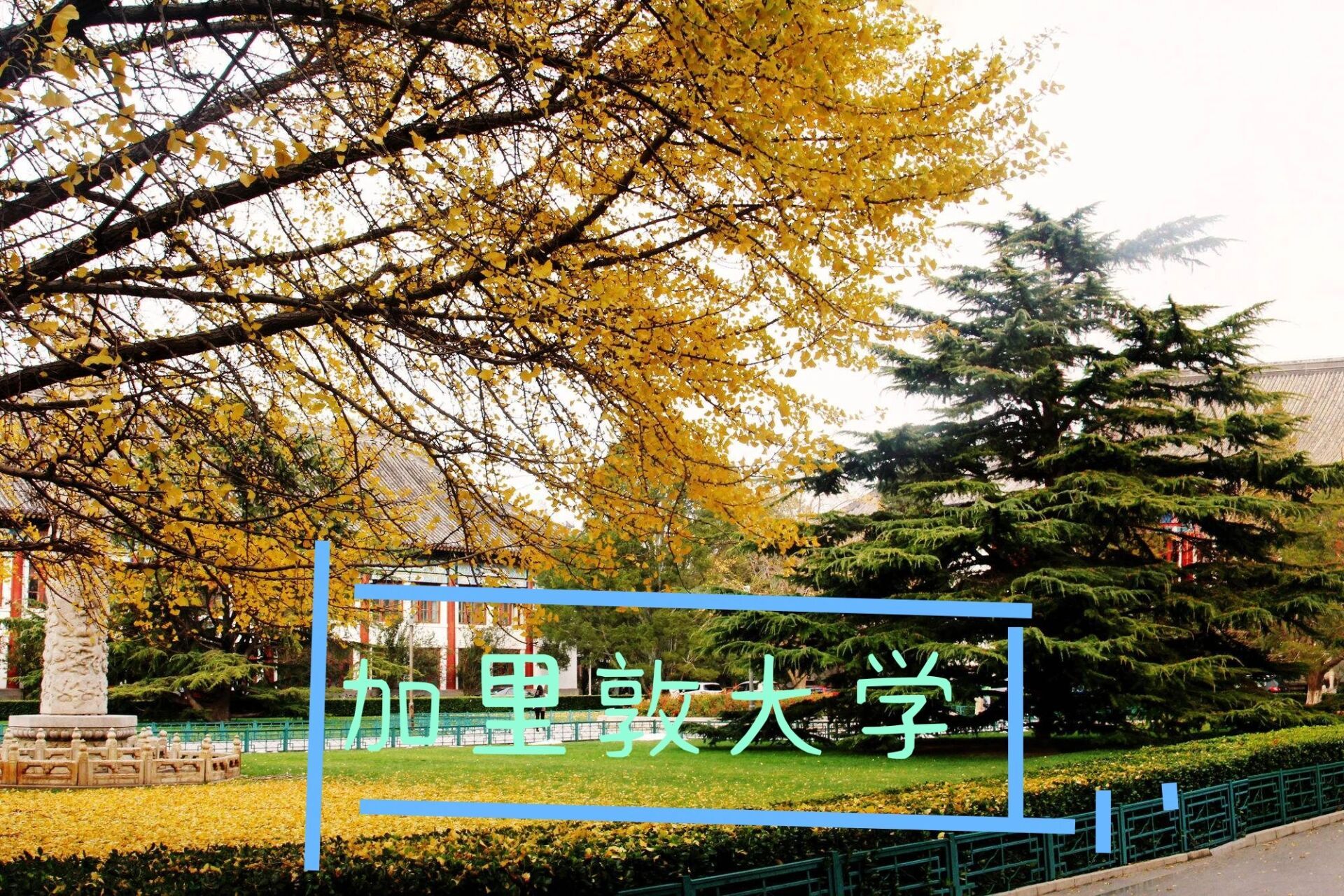 加里敦(家里蹲)大学招生啦! 快来报到吧