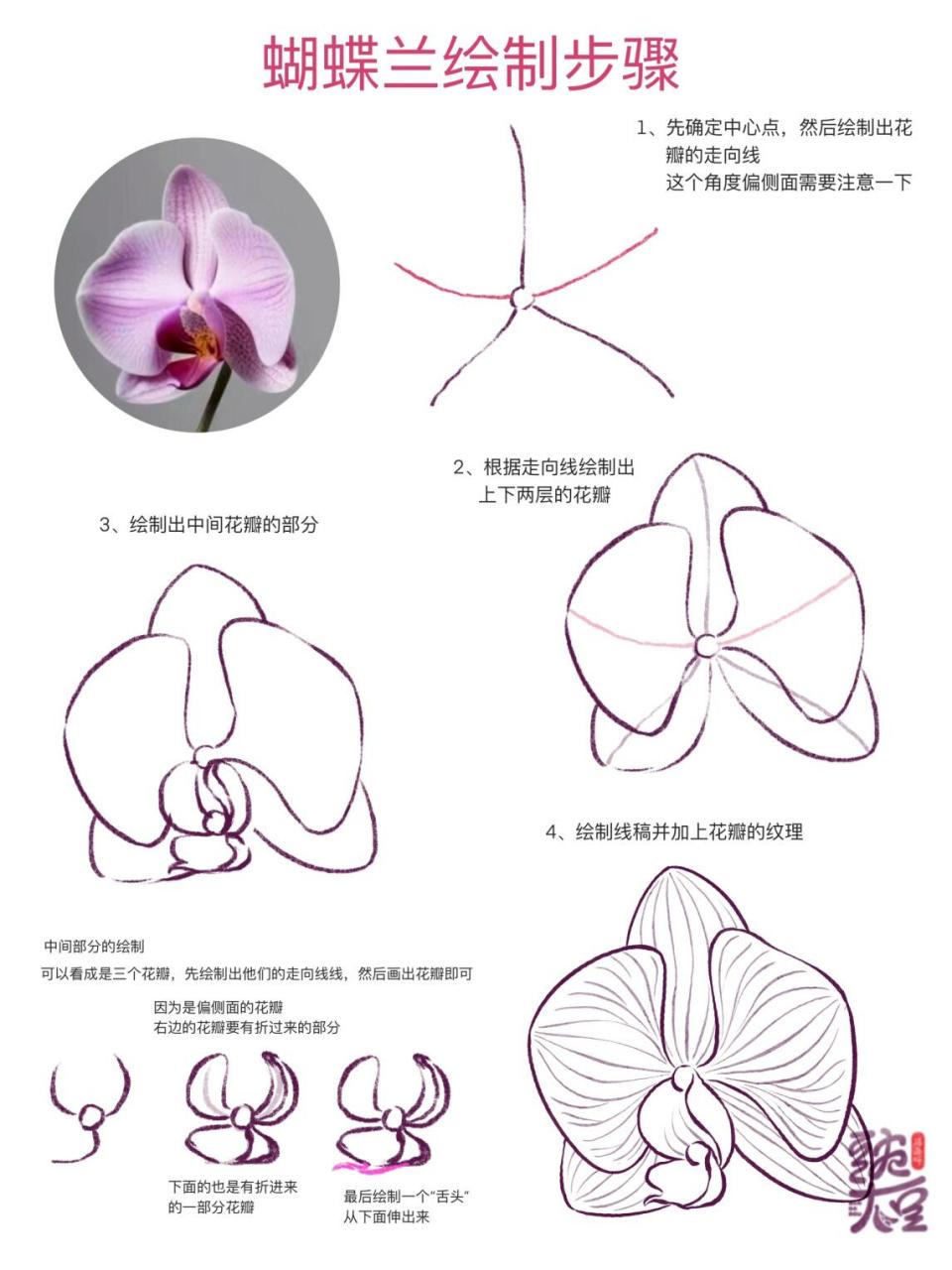 蝴蝶兰记录卡怎么画图片