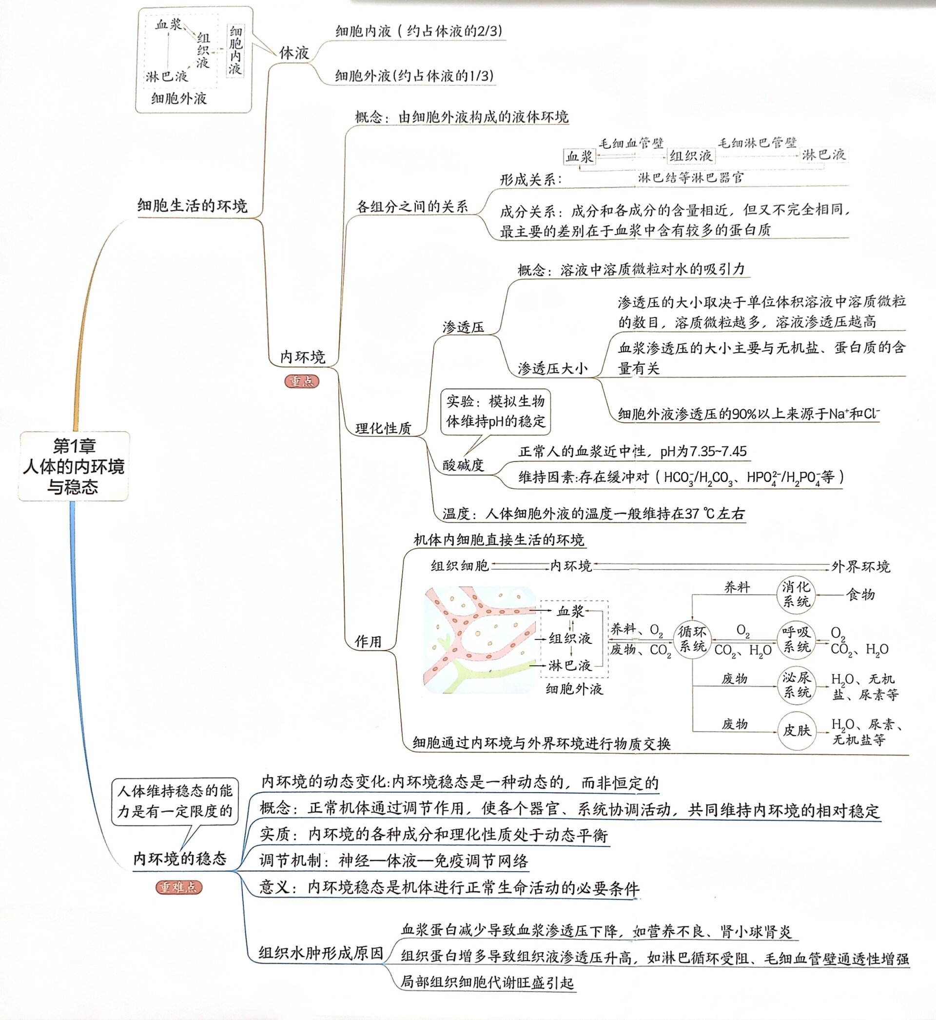 了～人教版生物选择性必修一第1章