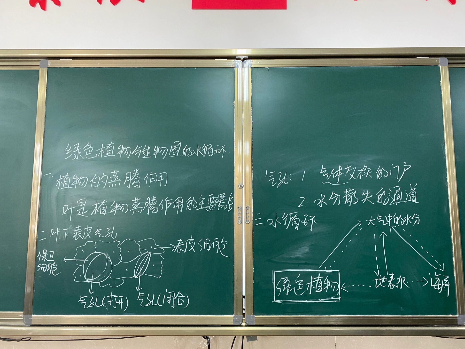 板书设计绿色植物与生物圈中的水循环