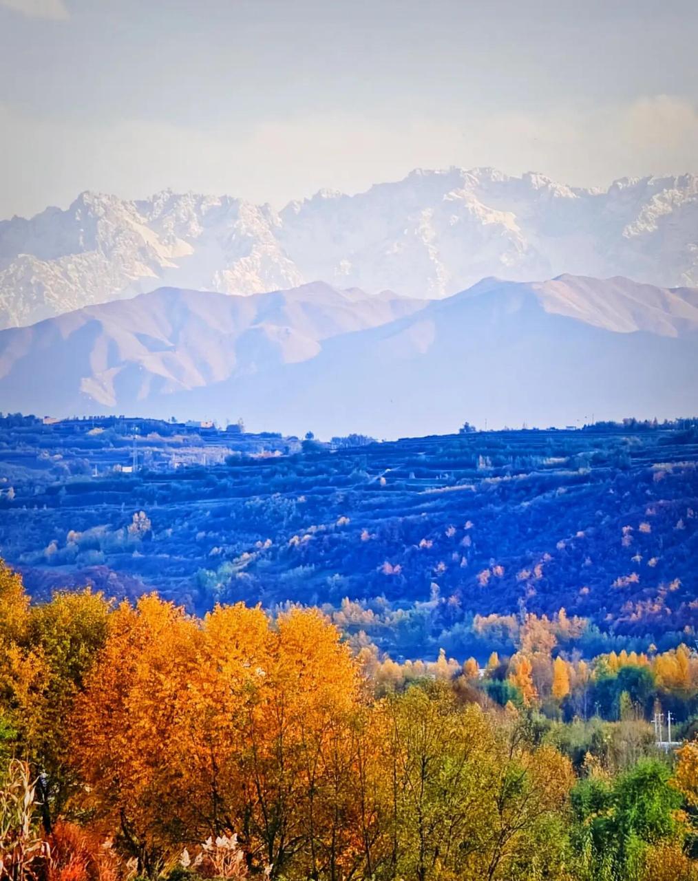 好风景分享7815 太子山,又称太峙山,位于和政,临夏县境内,是临夏