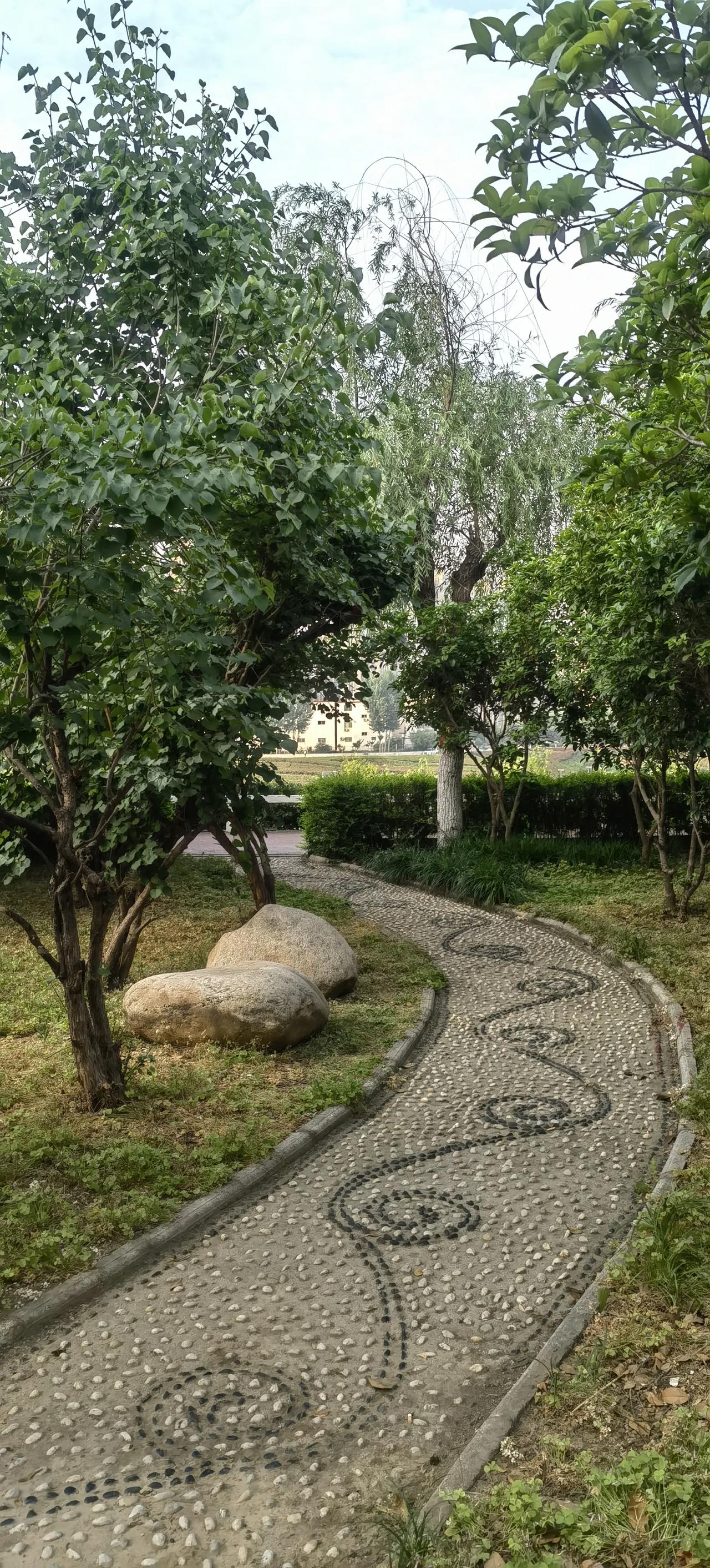 社旗赵河公国:石径铺成绿荫路,林间鸟语声悠悠