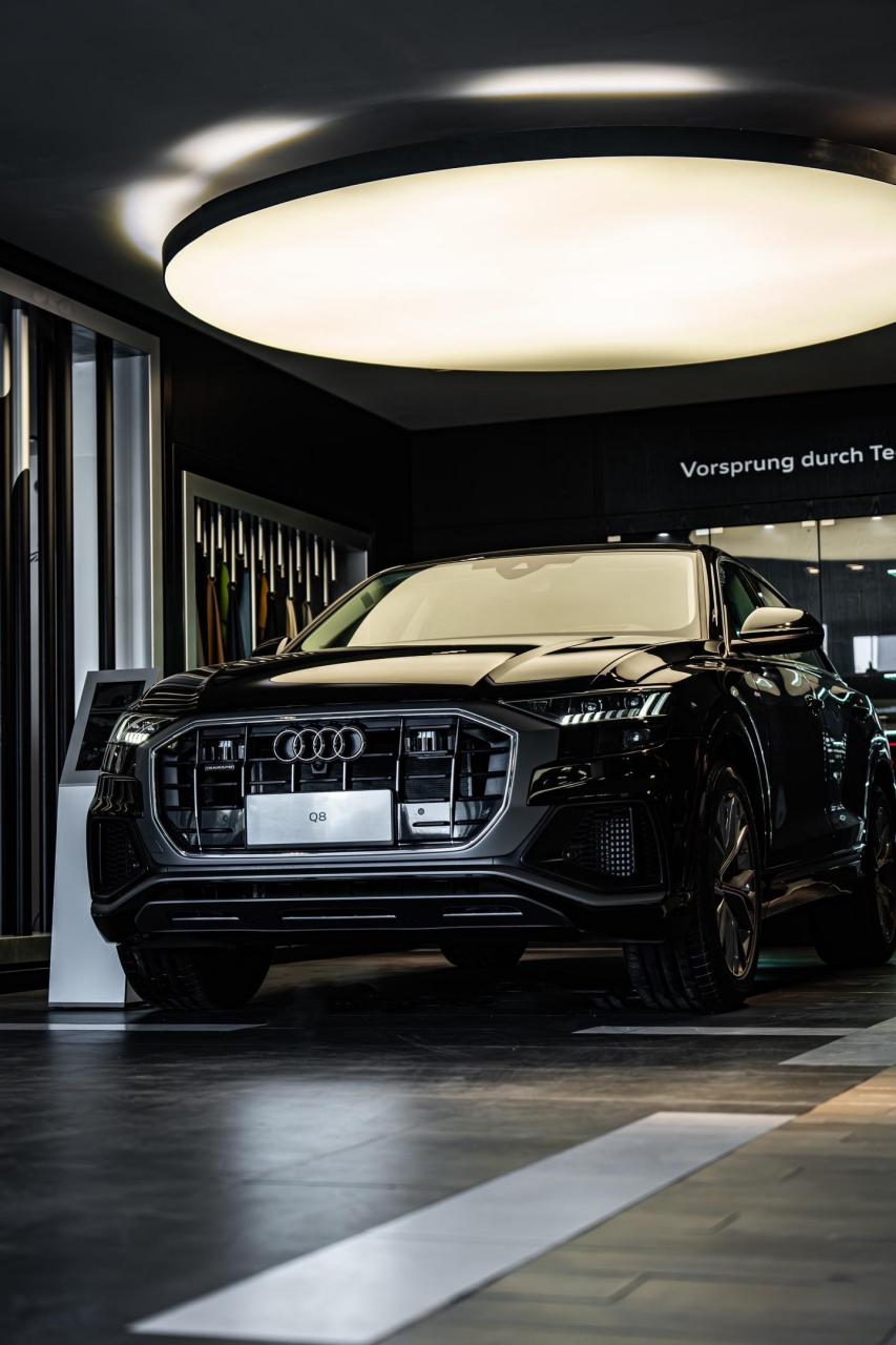 2024款全新一代奥迪q8