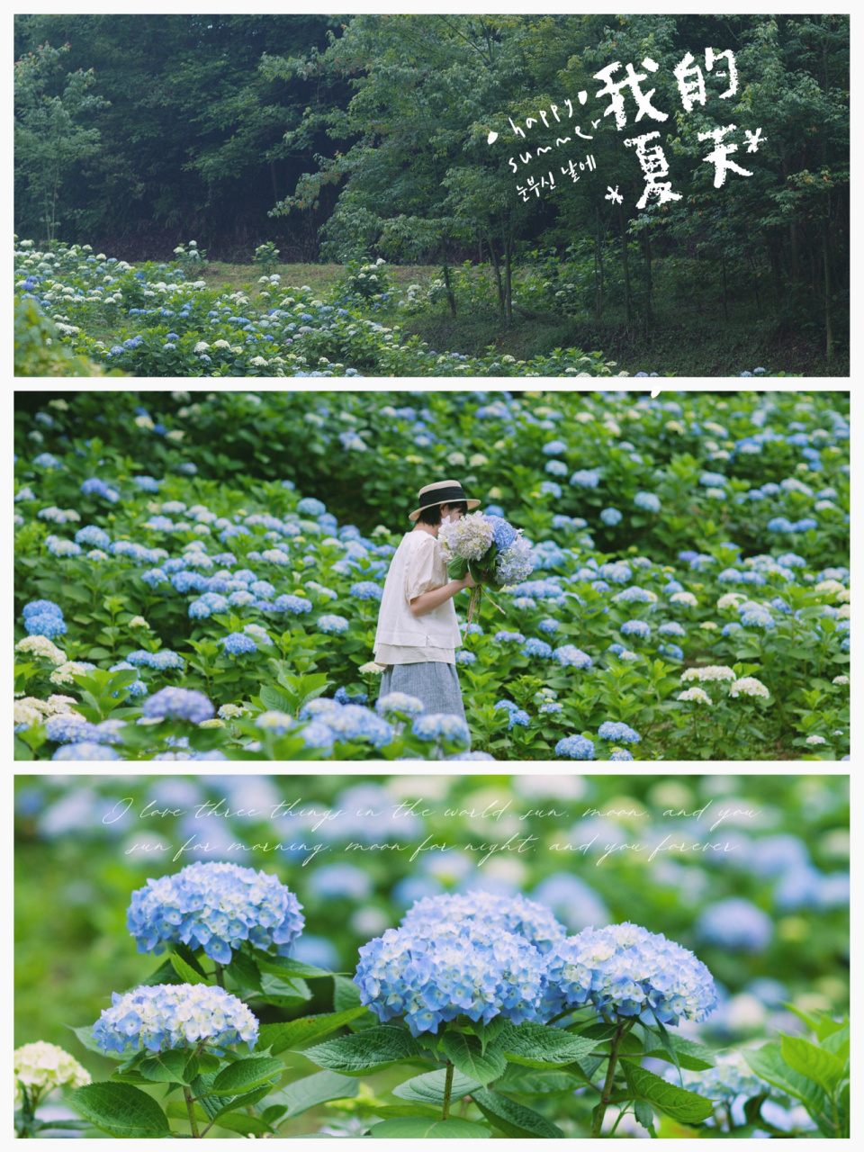 (没有一点犹豫和遗迟) 9999我们是提前在网上预约好的,门票39.