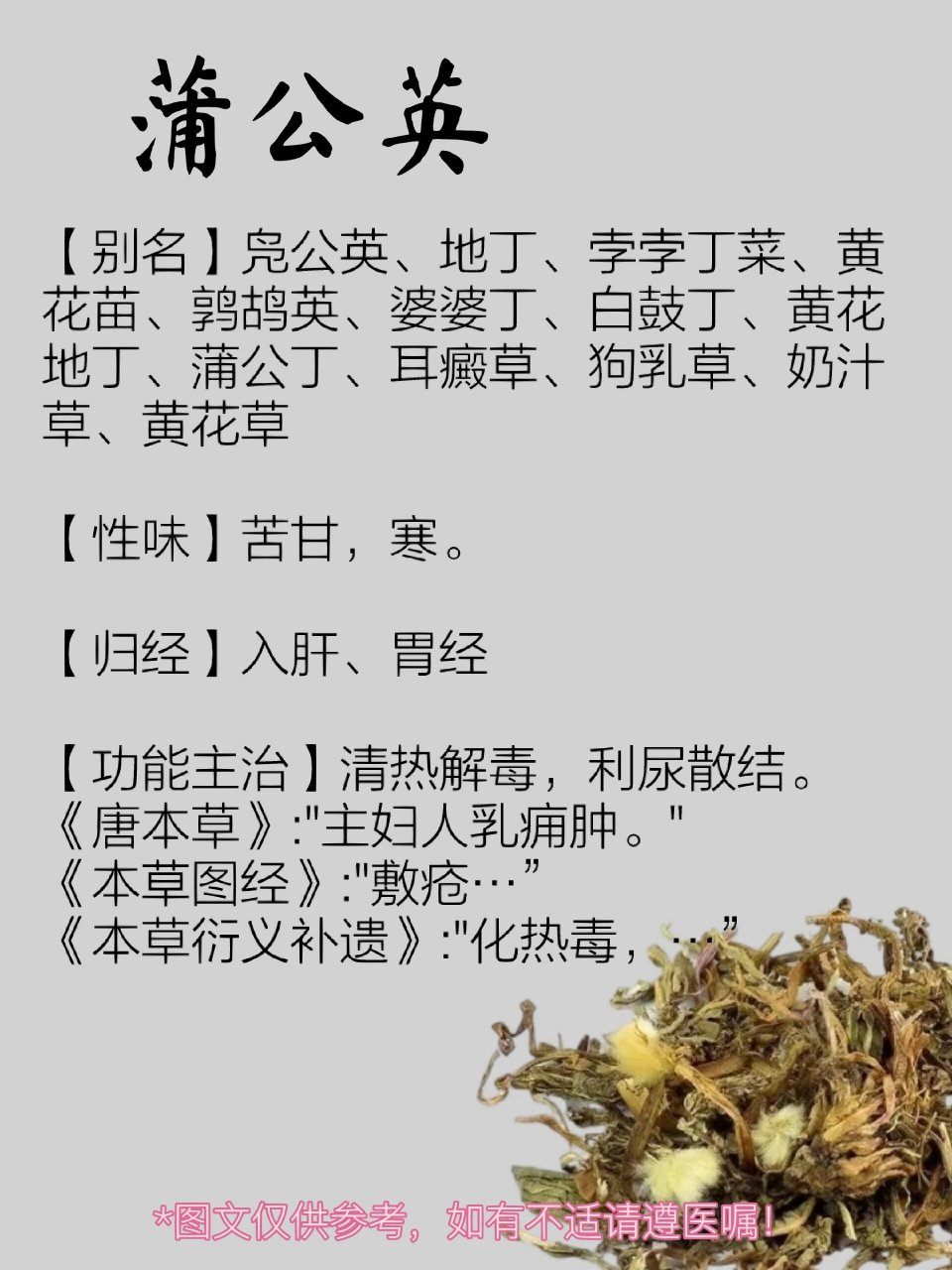 蒲公英归经图片