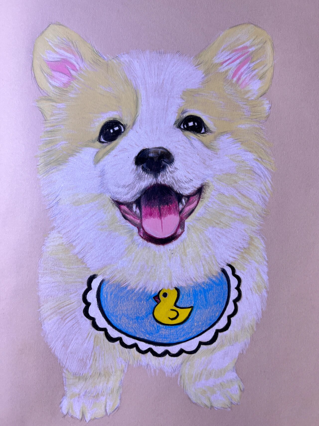 一只小柯基彩铅手绘插画(附步骤图)