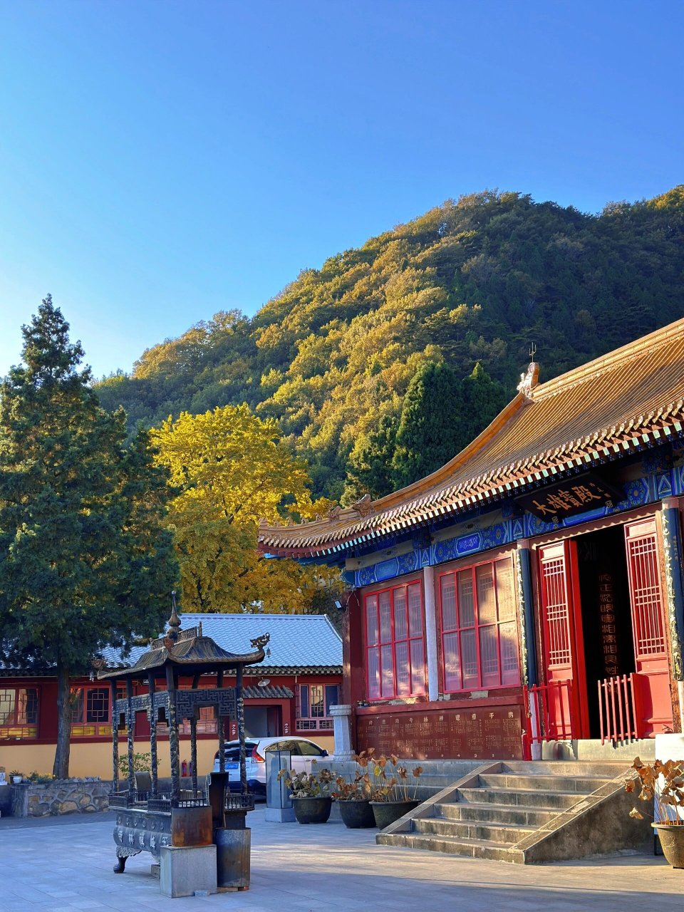 遵化禅林寺的银杏太美啦,到了最佳观赏期,就这几天,赶紧来打卡吧!