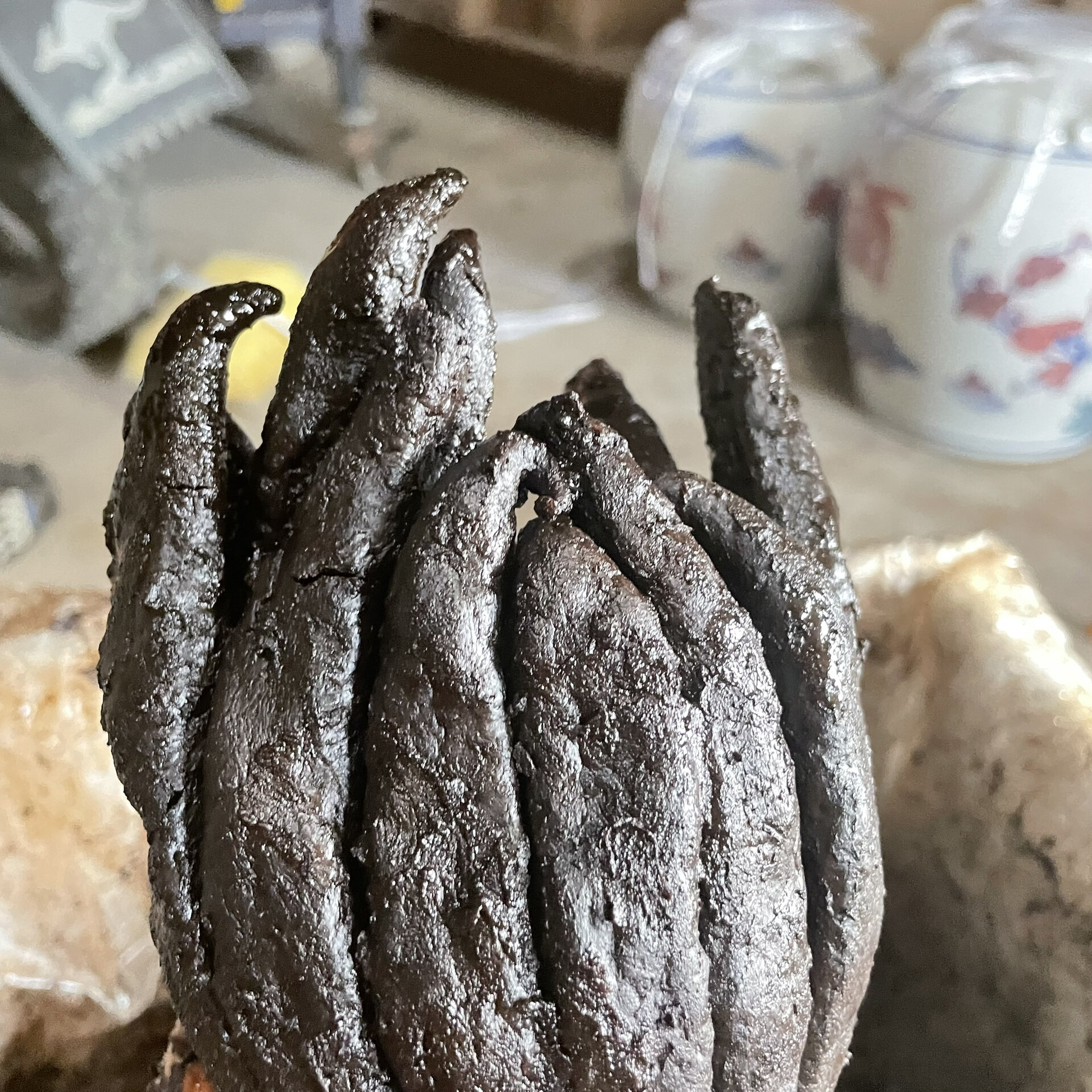 潮汕三宝———老香橼 陈年佛手老香橼  老到出油.