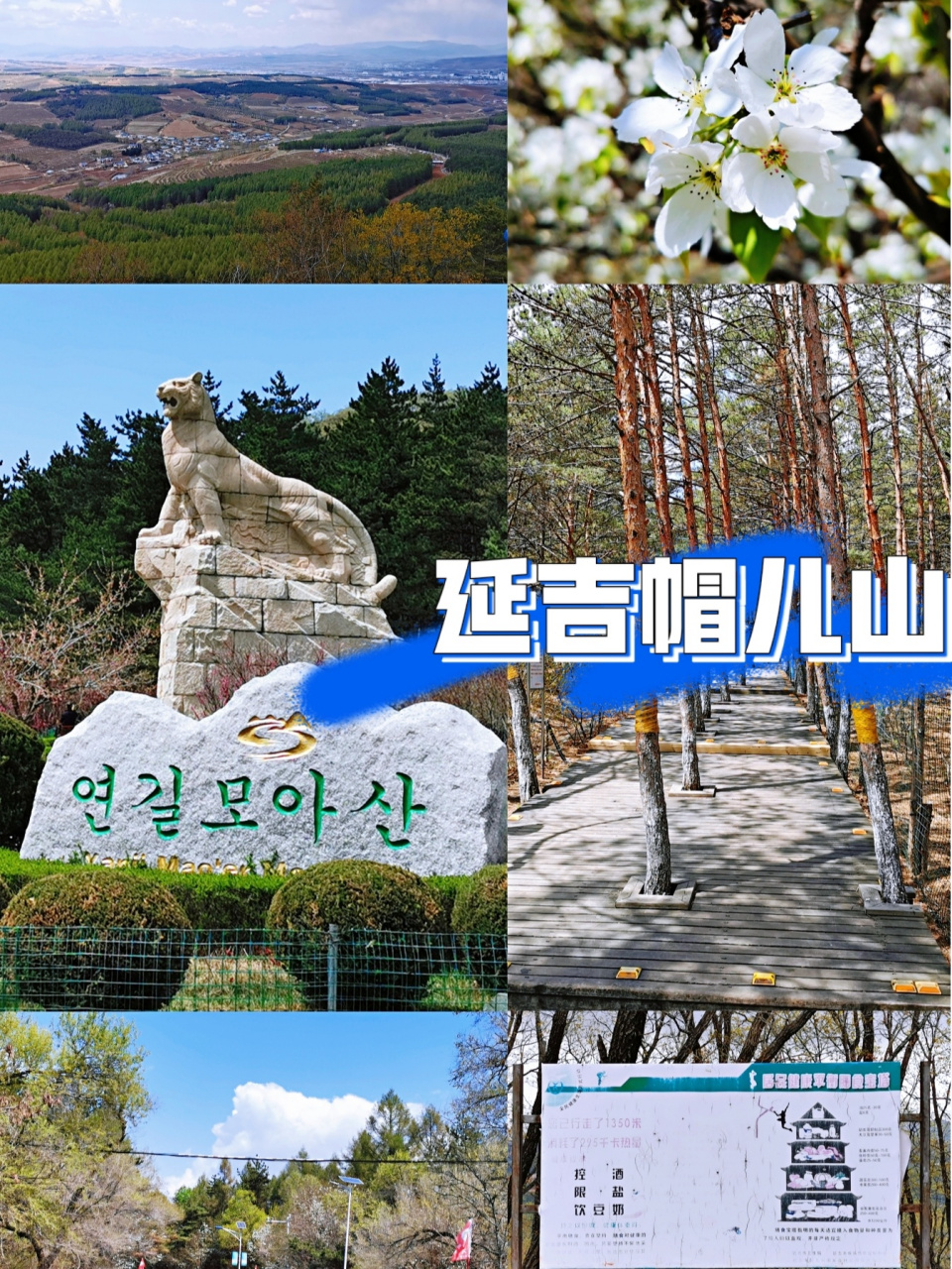 延吉帽儿山经验/吐槽/攻略帖 93延吉帽儿山 aaaa级景区 92地址