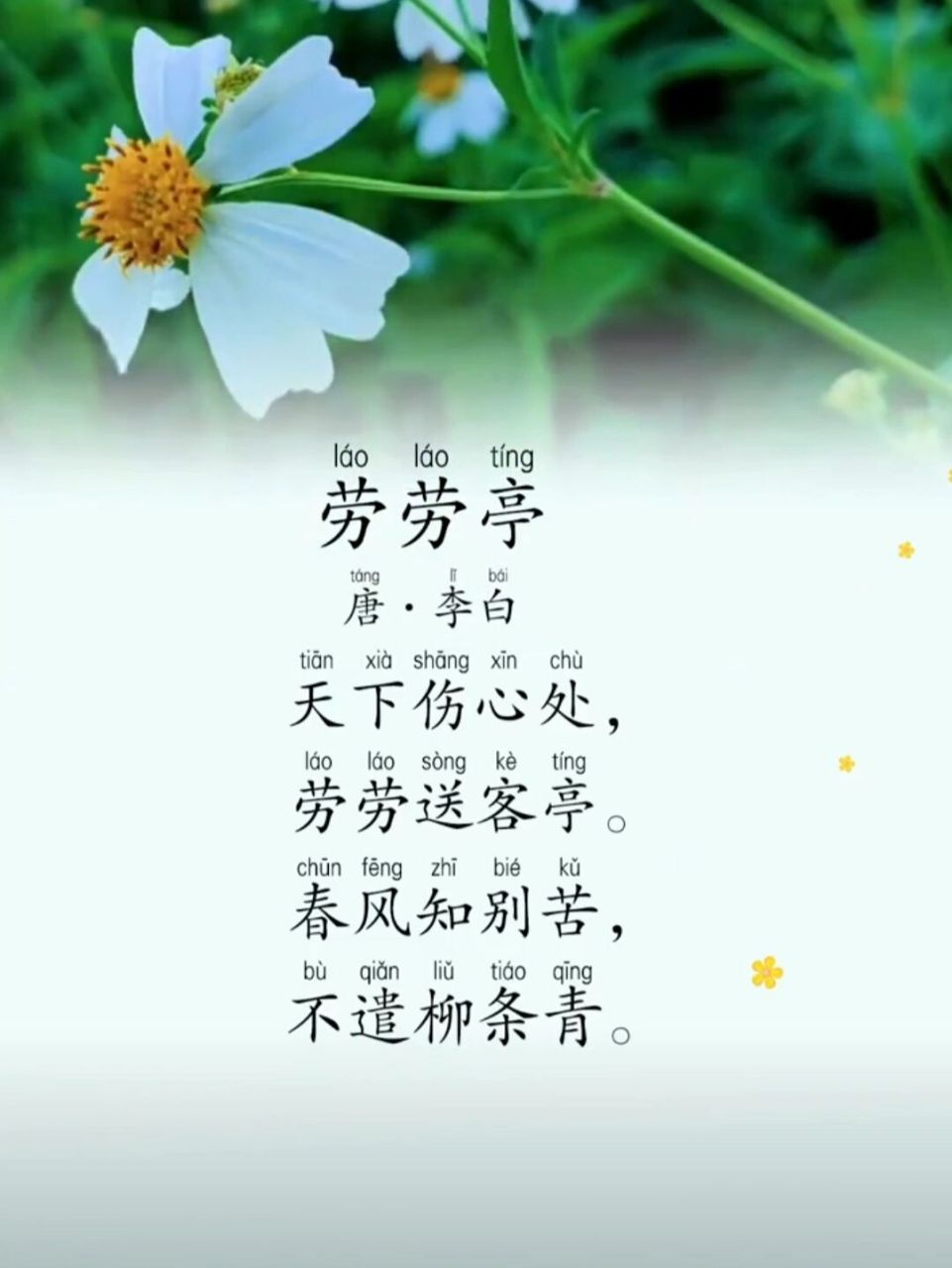 每日读诗#《劳劳亭》 《劳劳亭》 【唐】·李白 	 97979797