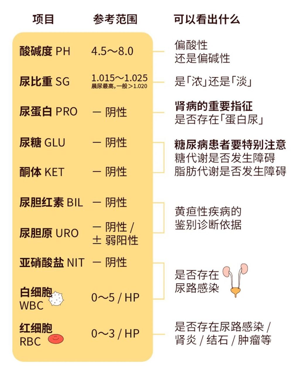《体检报告解读》#尿常规(二) 正常检查结果为阴性(- 号表示),异常
