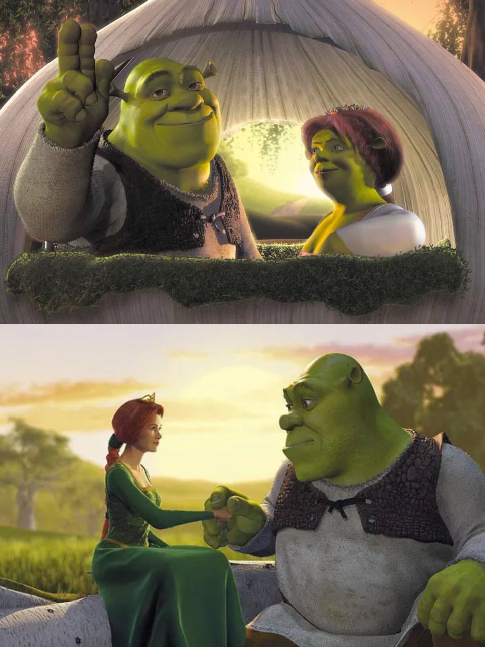 74届奥斯卡金像奖96 	 分享一部超爱的动画电影——《怪物史莱克》