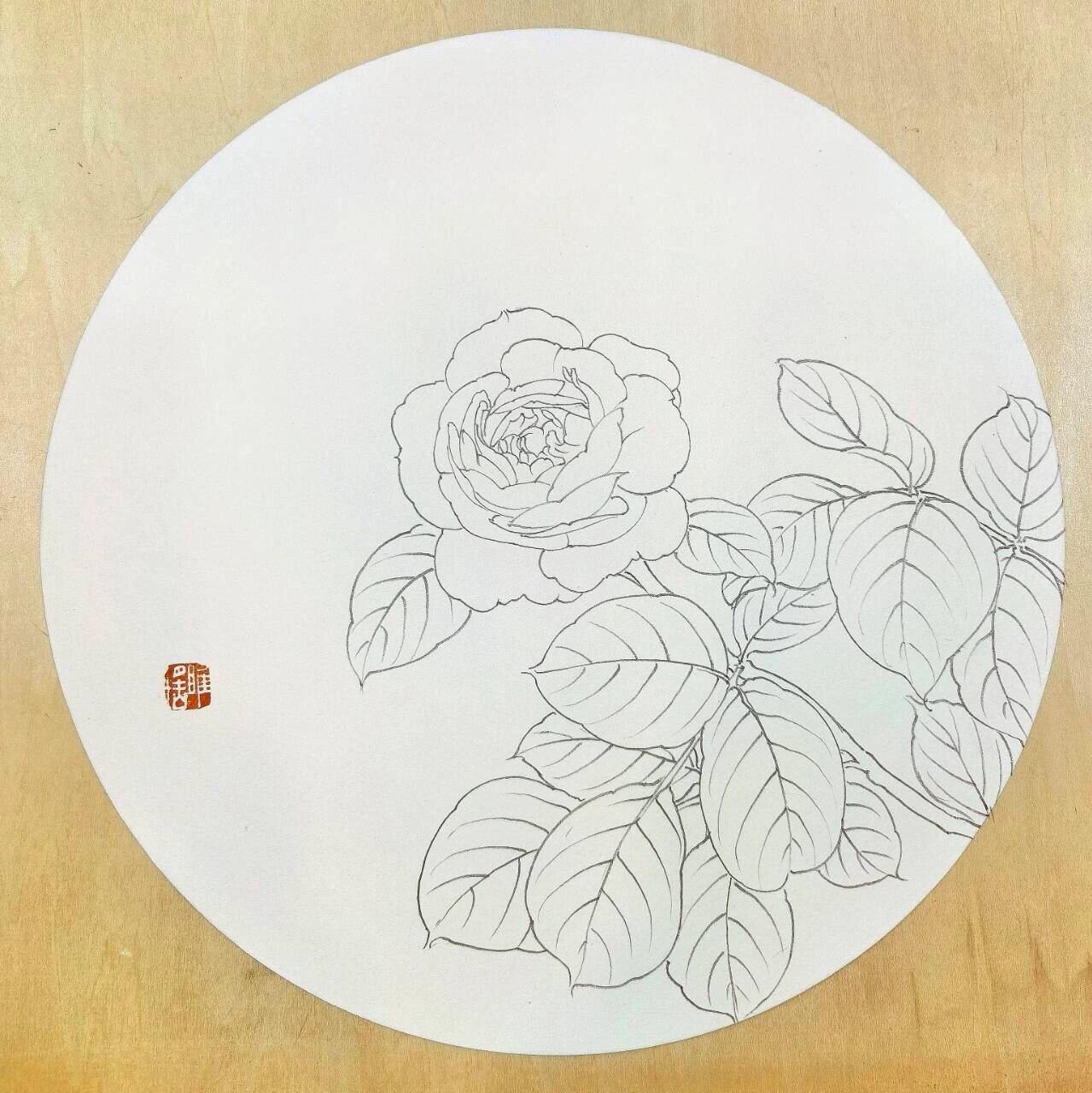 线描:圆形构图中的月季花写生的绘画过程