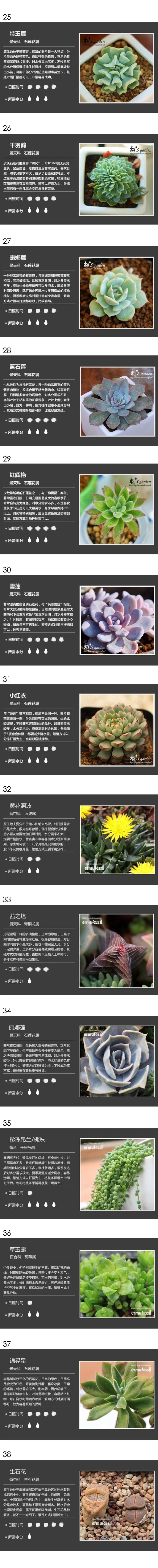 122种多肉植物名字对照图,养花的怎么可以不知道花名,值得收藏!