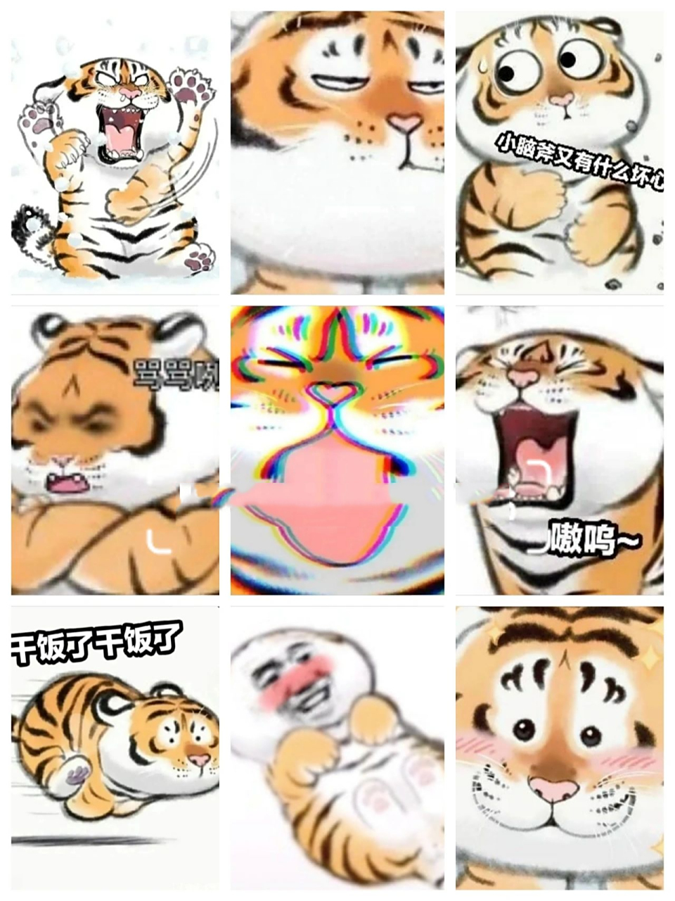 超97的小老虎91表情包啊啊好可爱! 收集了好久09!
