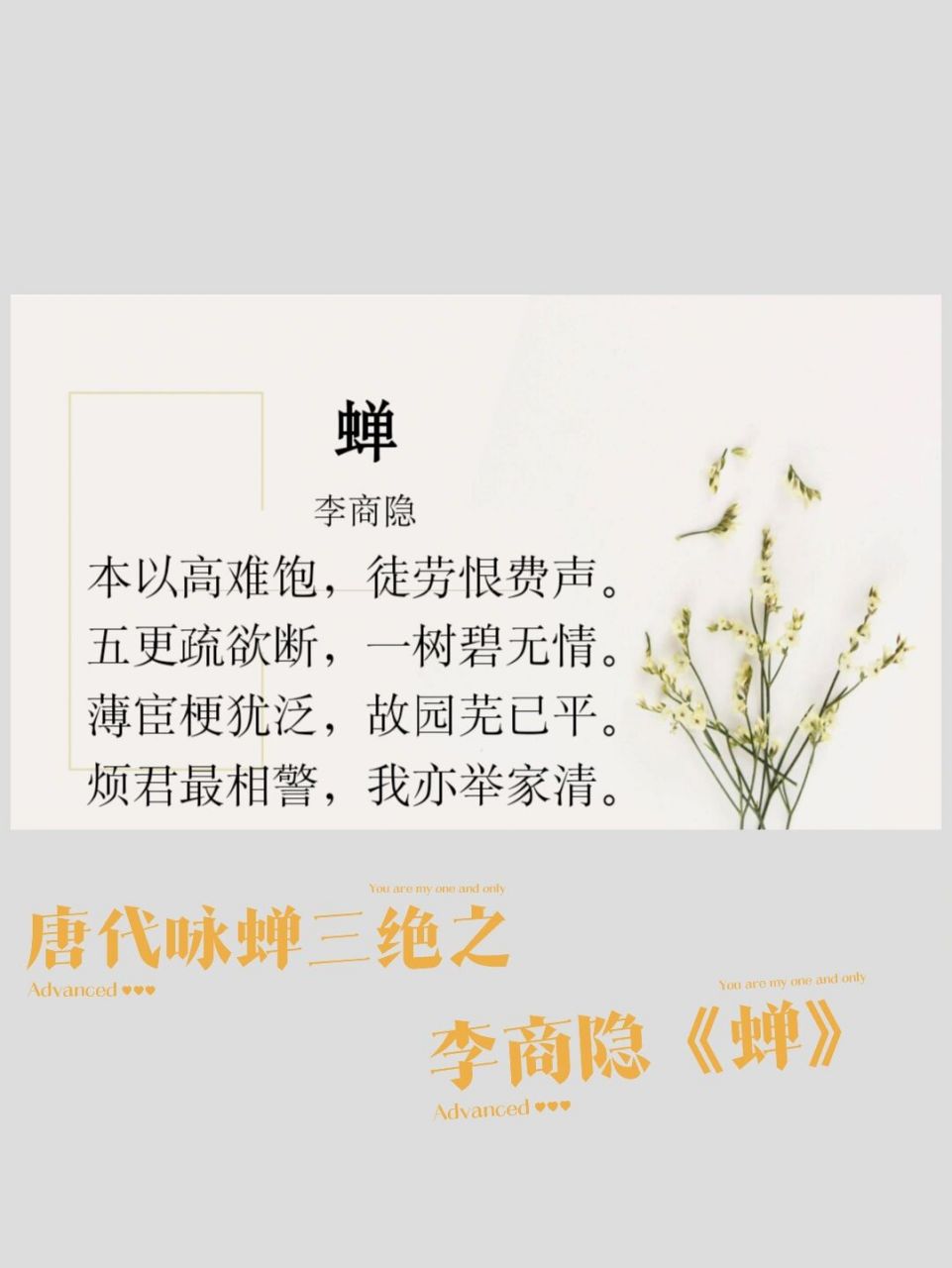 李商隐《蝉》 要解读李商隐的诗歌,就要了解李商隐饱经忧患的人生.