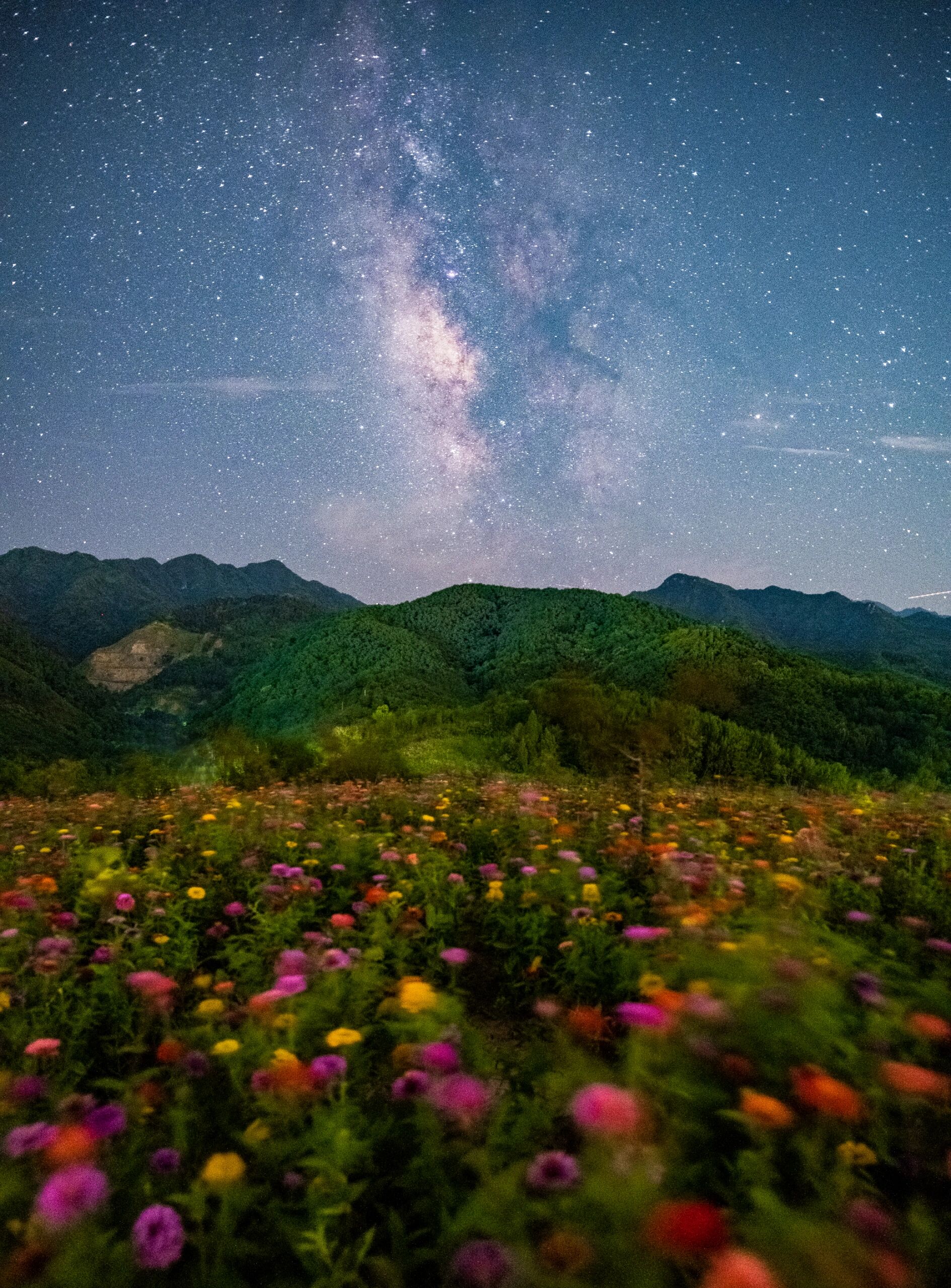 大理夏夜星空花海图片图片