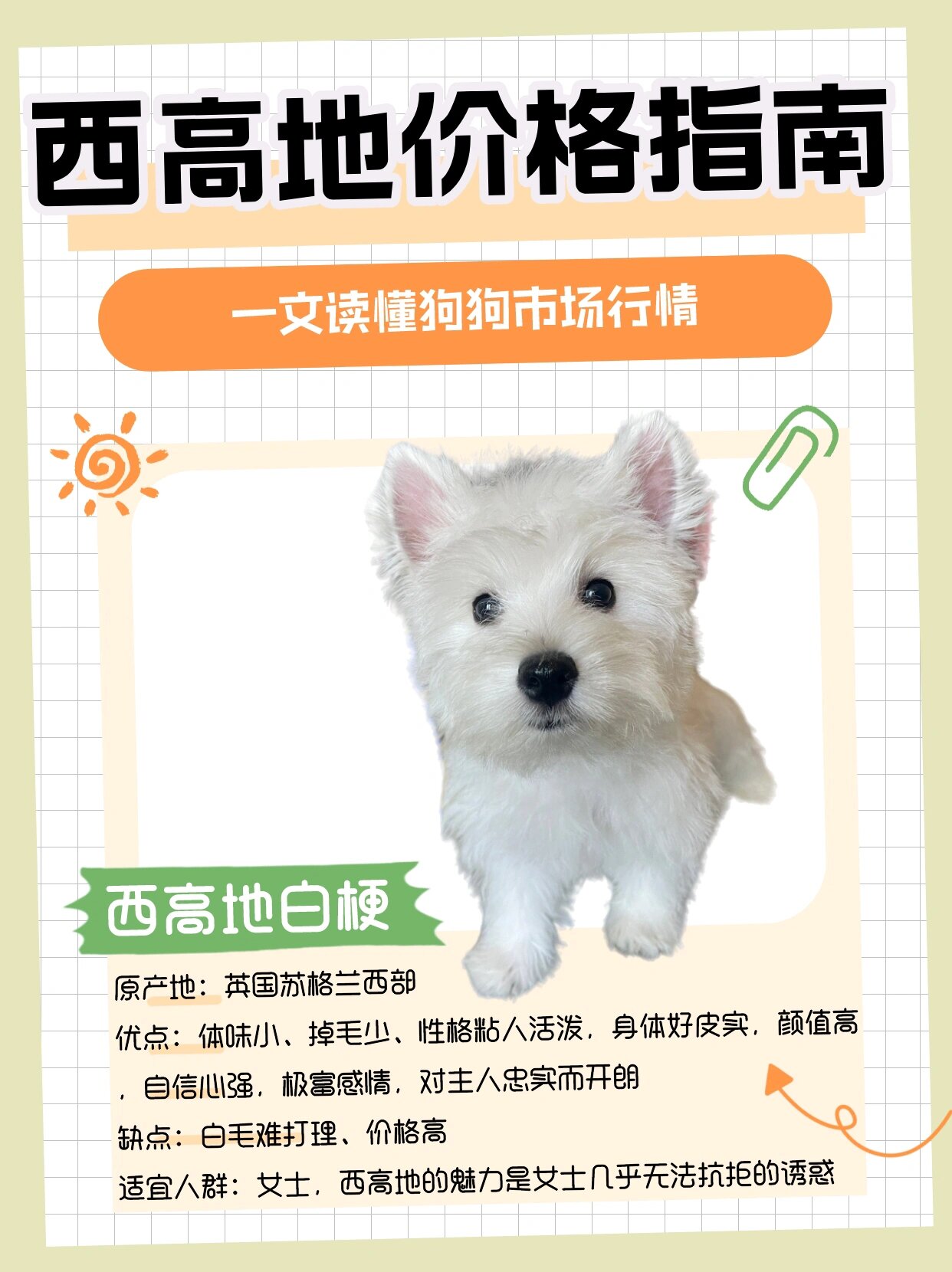 972023年西高地白梗犬价格指南9215 73西高地白梗多少钱一只?