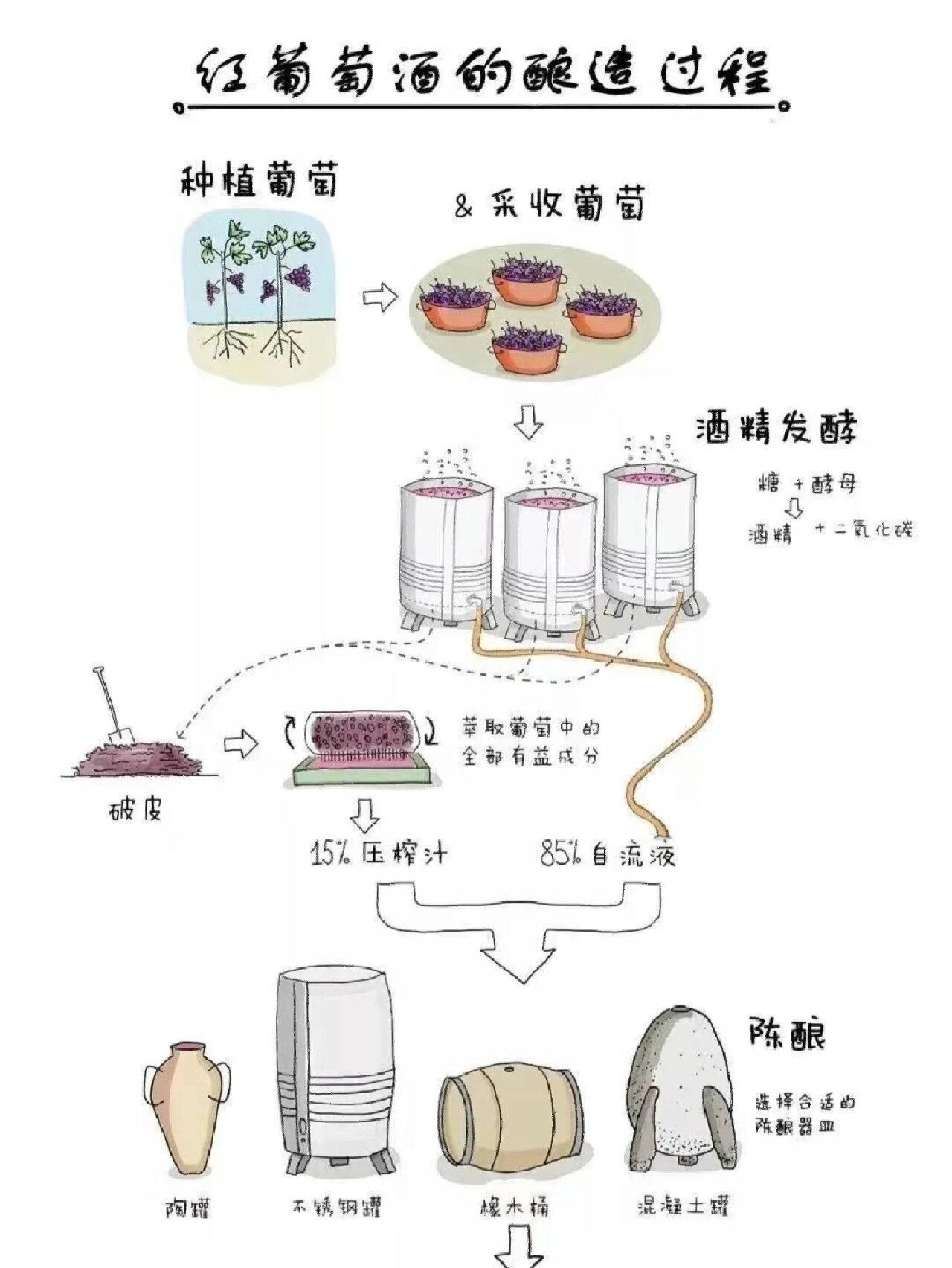 葡萄酒酿造过程图解,建议收藏!