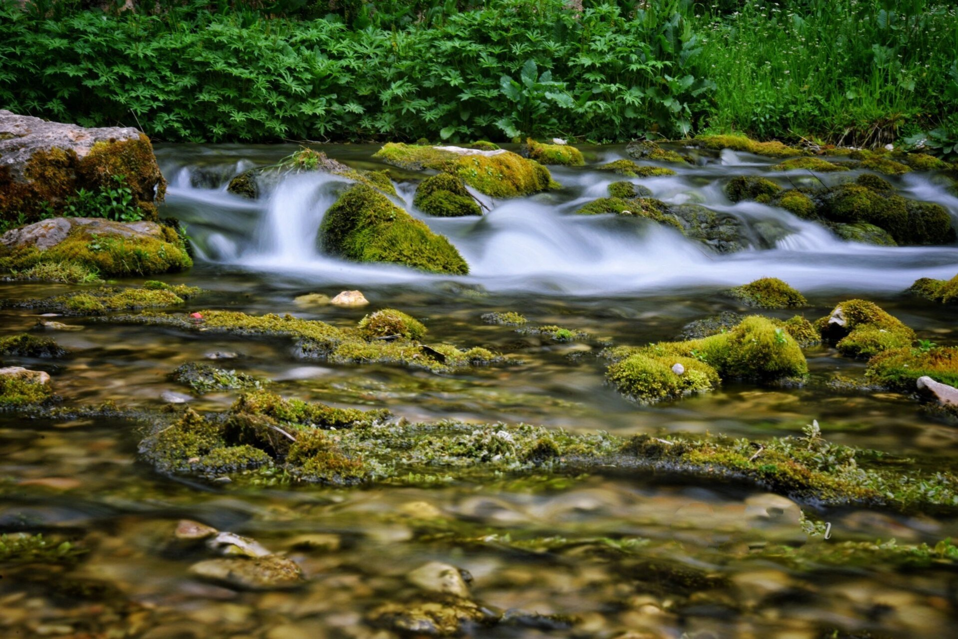 白龙江大峡谷图片