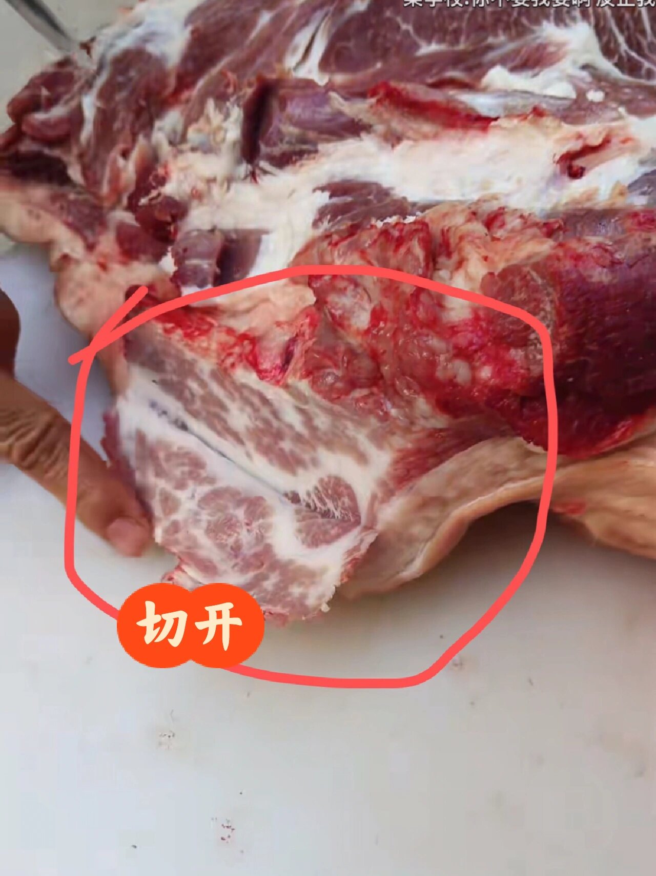 猪肉淋巴结图片图片