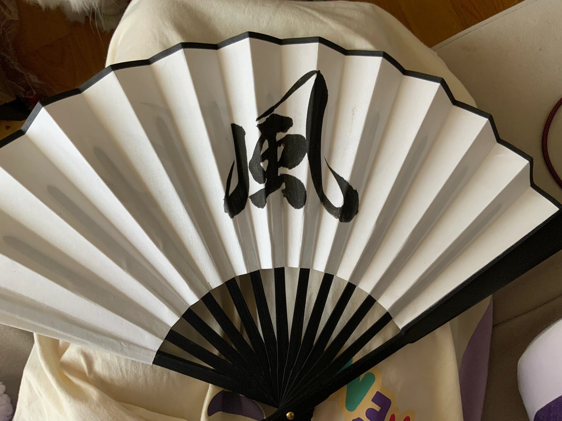 风师扇! 朕的扇子尊好看!