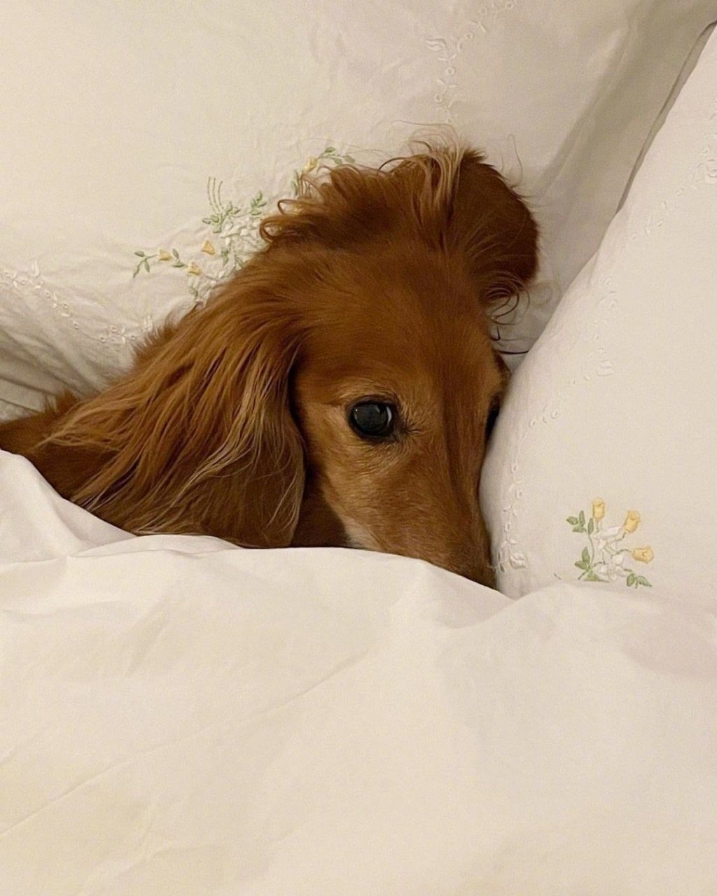 徐玄振# ins更新