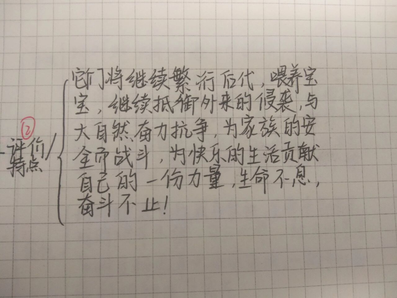 黄蜂的思维导图图片