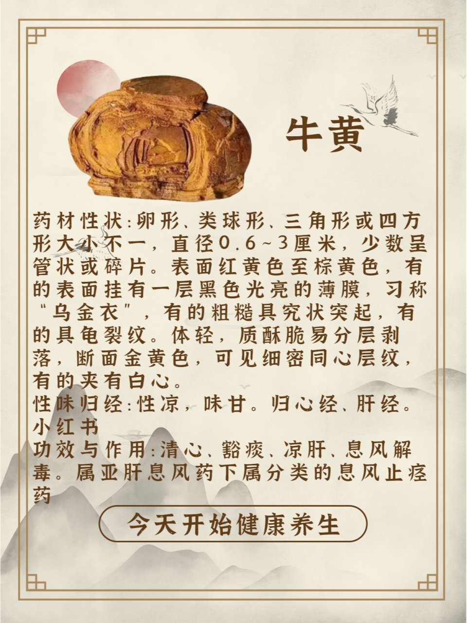 每天认识一味中草药-牛黄�中药名:牛黄�别名:丑宝,犀黄.