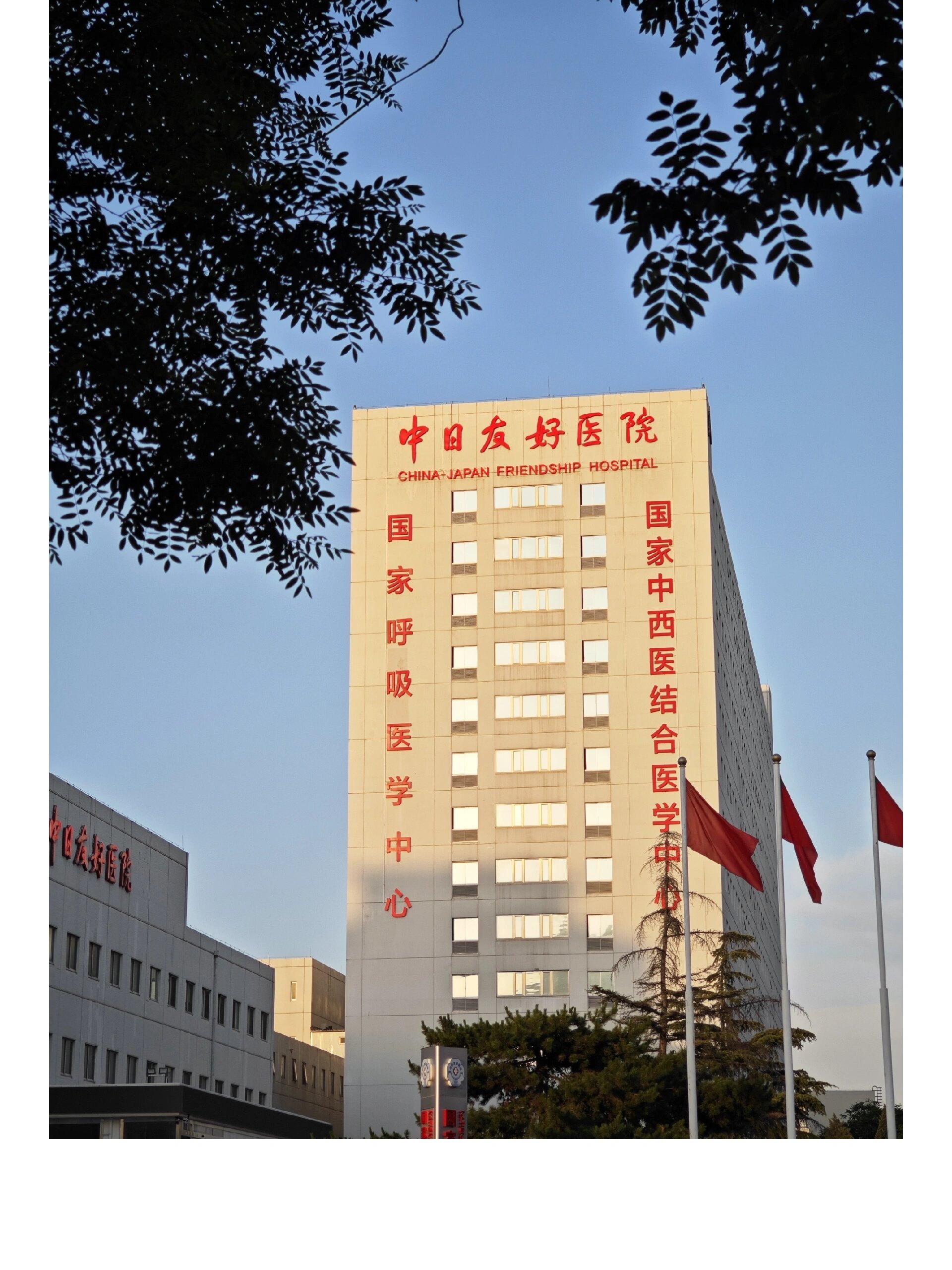 包含中日友好医院、医院陪诊，健康咨询号贩子联系电话——靠谱的代挂号贩子的词条