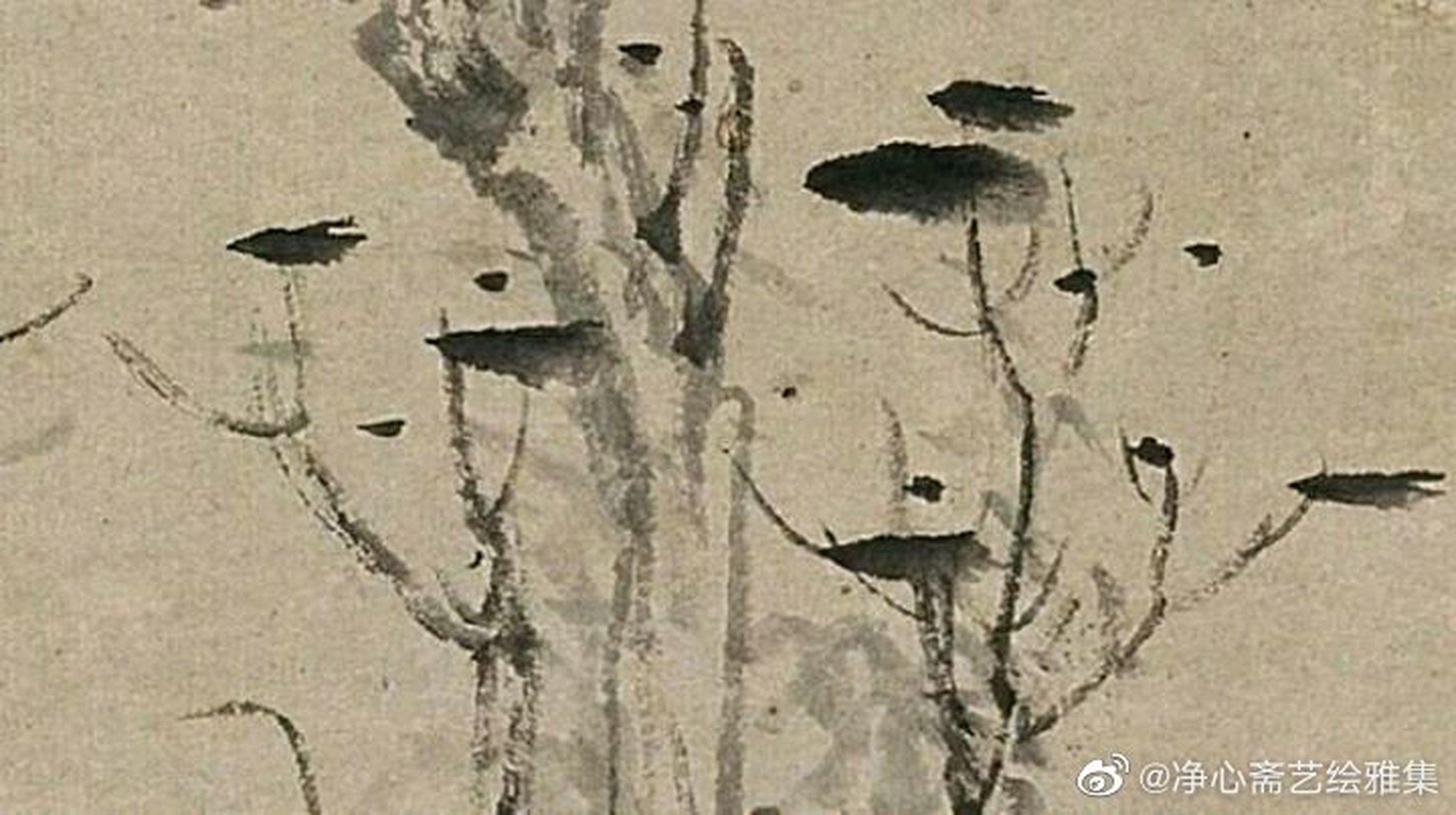 这篇文章很有意思《因一咳嗽声就大动干戈,搞得仆人找遍了整个院子