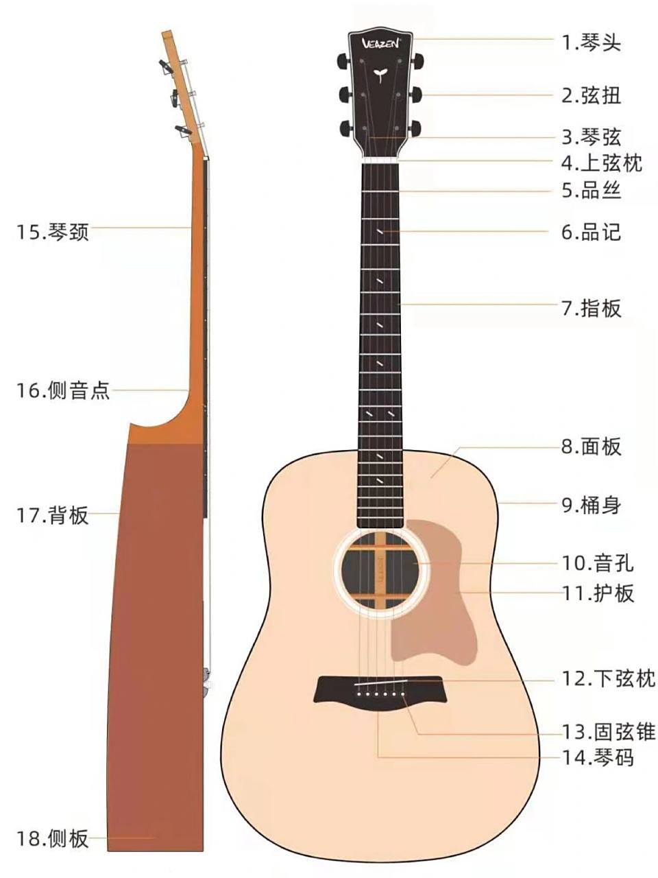 超级详细97民谣吉他各部位构造及含义图解 哈喽!