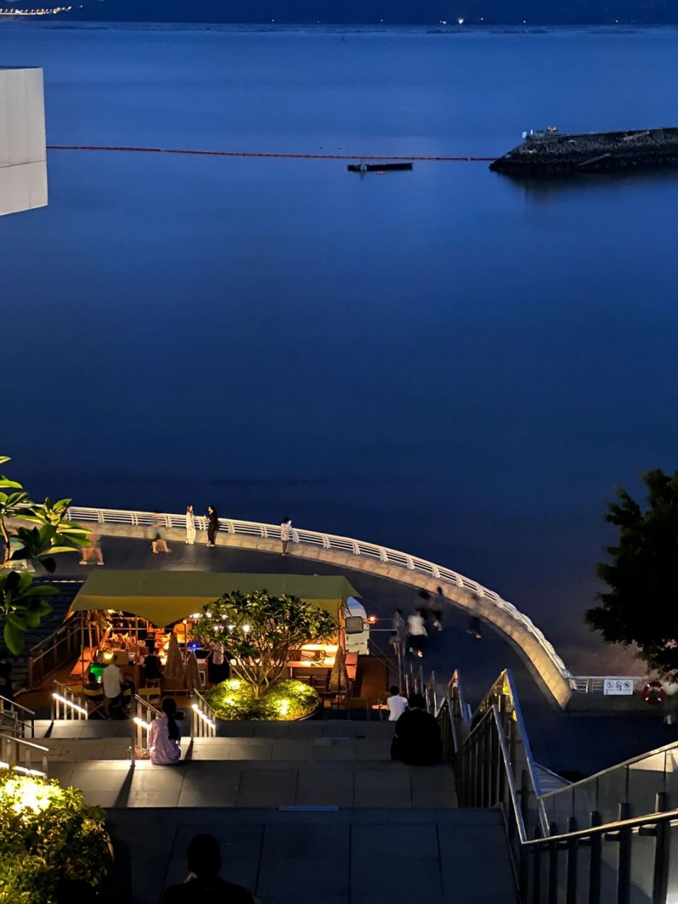 蛇口海边夜景真的太美了吧!
