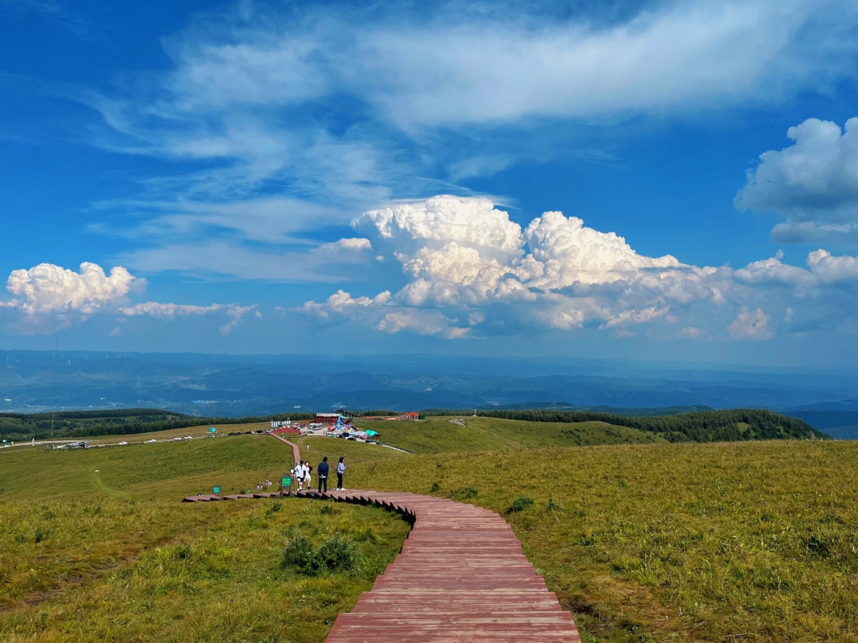 山西最美草原 沁源县花坡草原