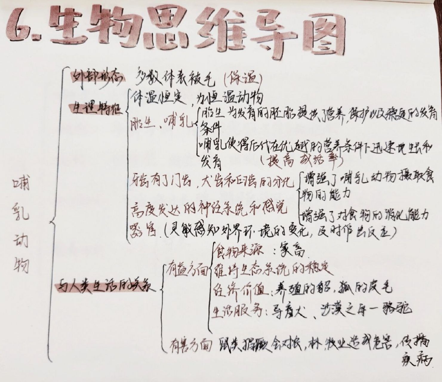 八上生物思维导图6–哺乳动物