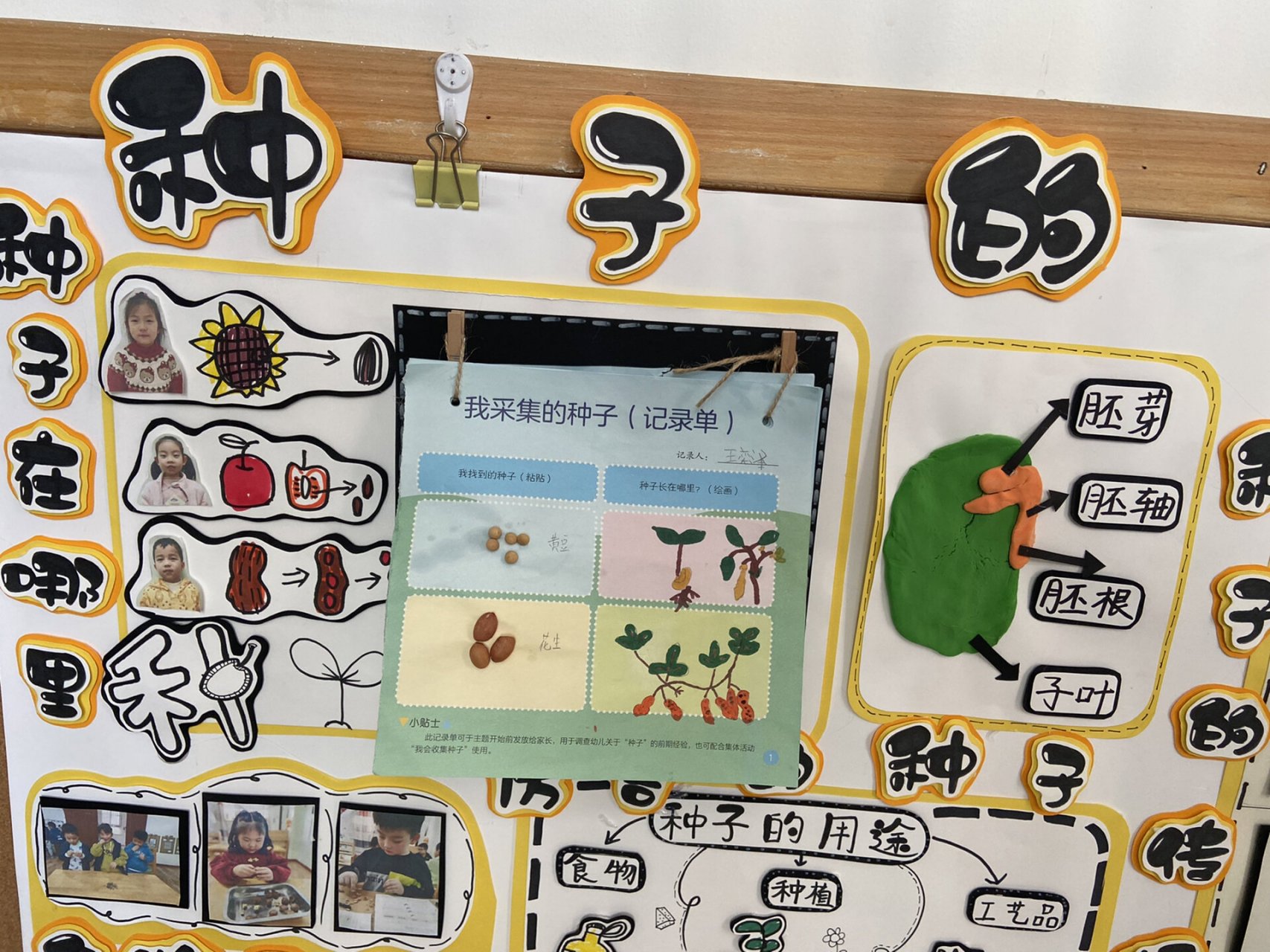 种子的秘密|主题墙