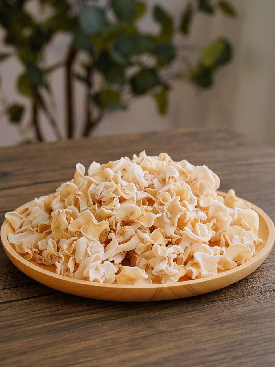 历代皇家贵族"延年益寿"必吃东北白玉木耳 73白玉木耳,在南方地区