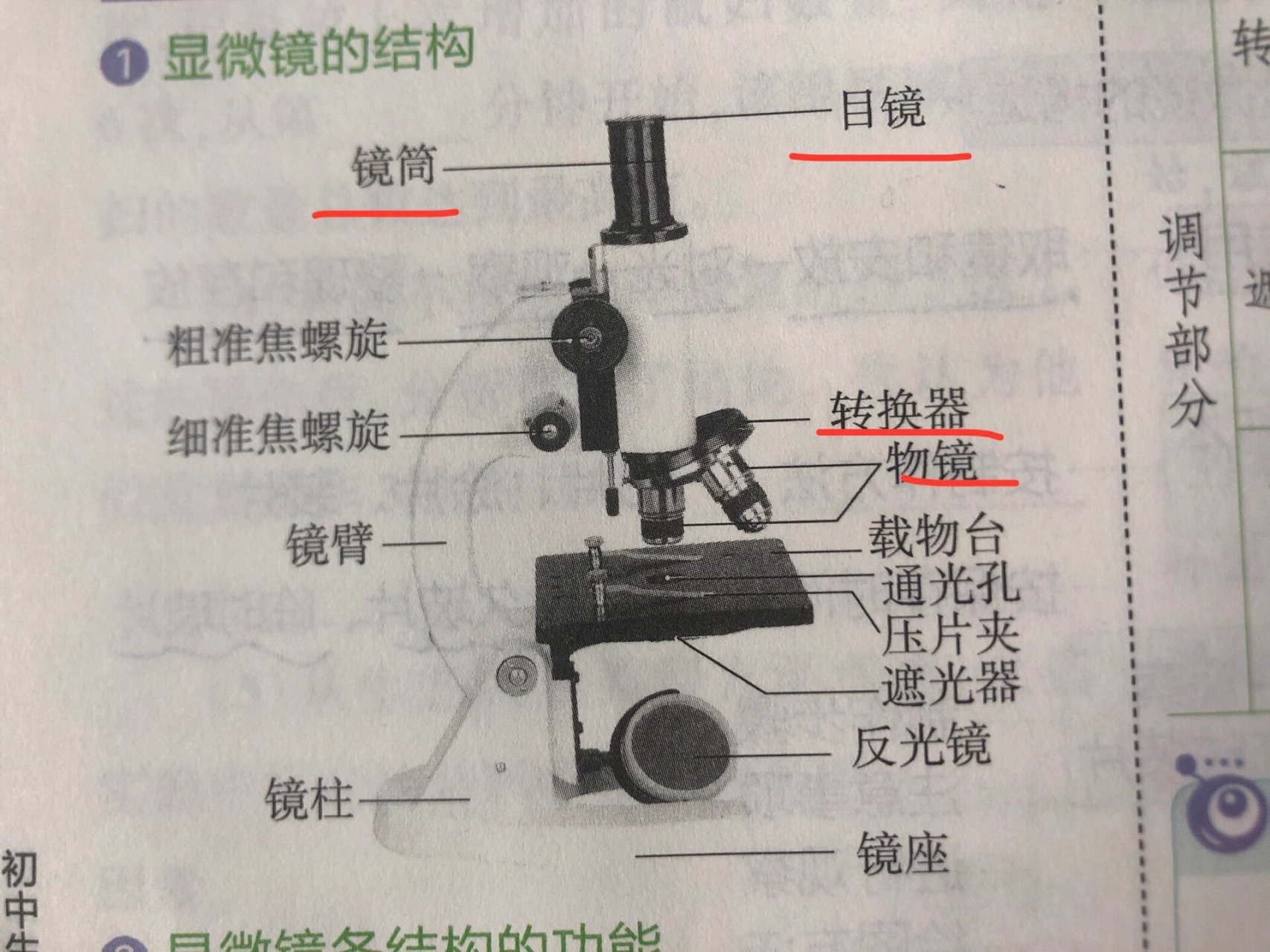 显微镜物镜种类图片