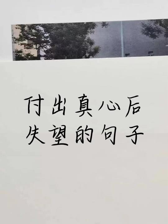 付出真心后失望的句子 真心付出