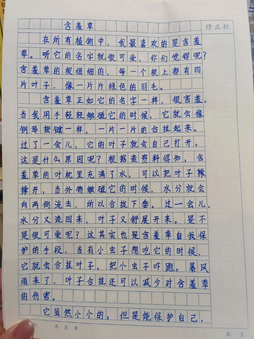 三年级作文866含羞草 第五单元习作练习《我们眼中的缤纷世界》 线