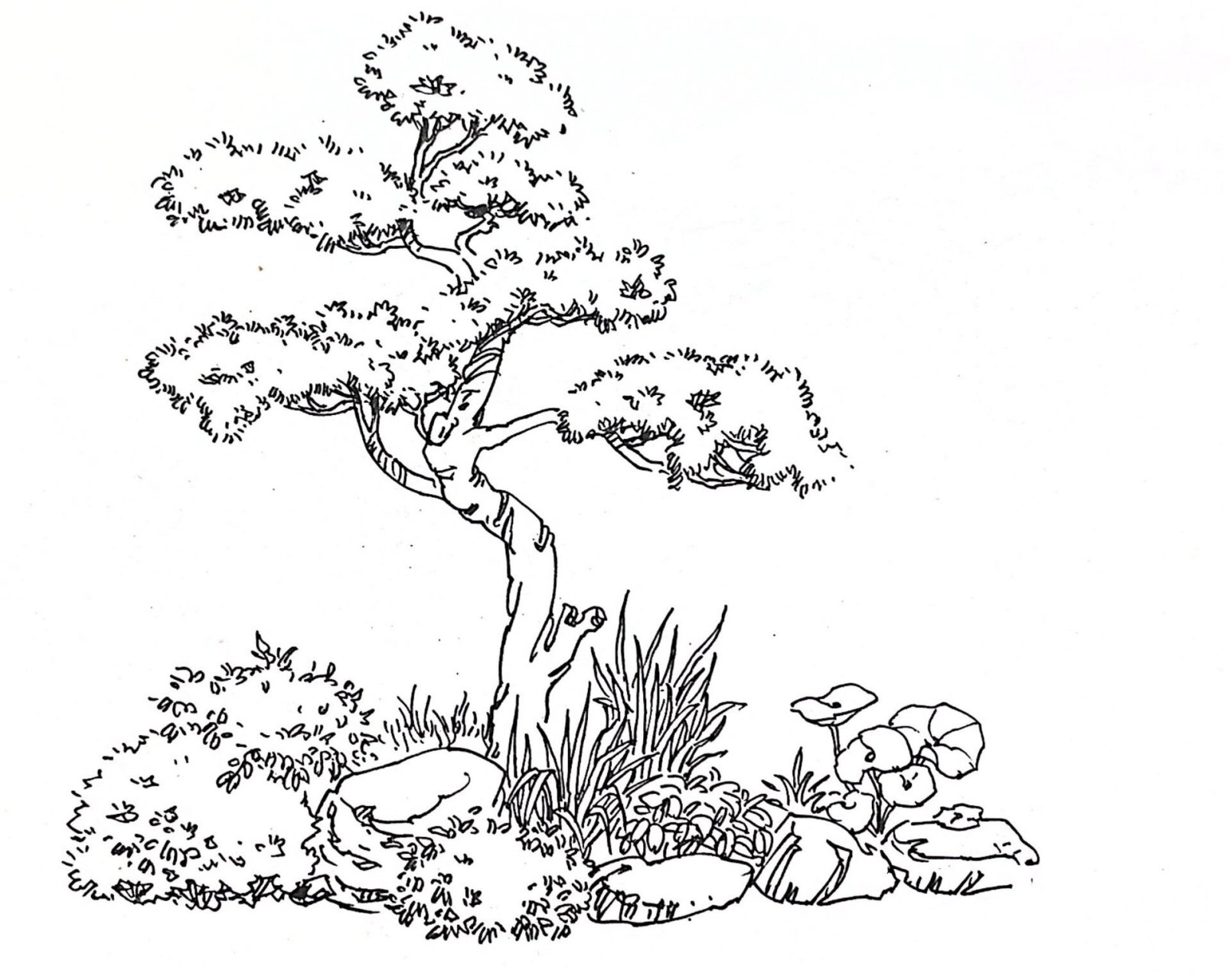 风景速写小景写生(三)