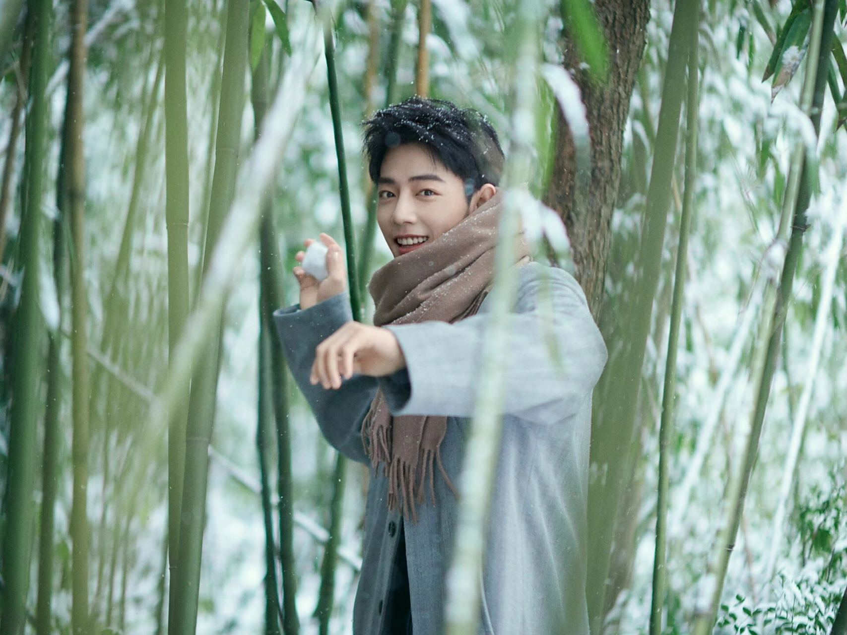肖战|竹林雪景大片